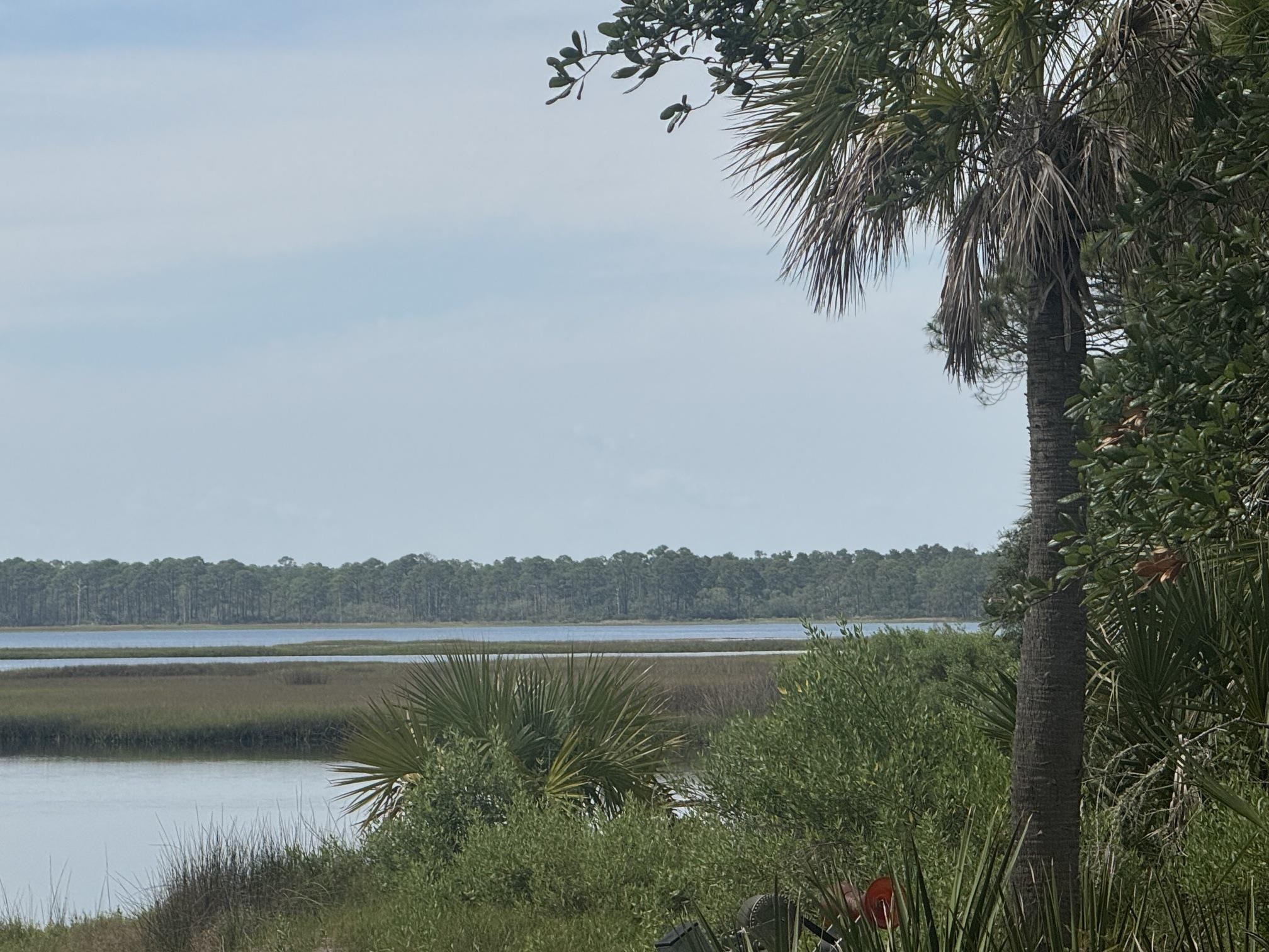 1272 Angus Morrison Road Alligator Point, FL 32346 - Photo 12 of 20