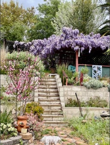 3909 Reche Road, Unit 125 Fallbrook, CA 92028 - Photo 22 of 58