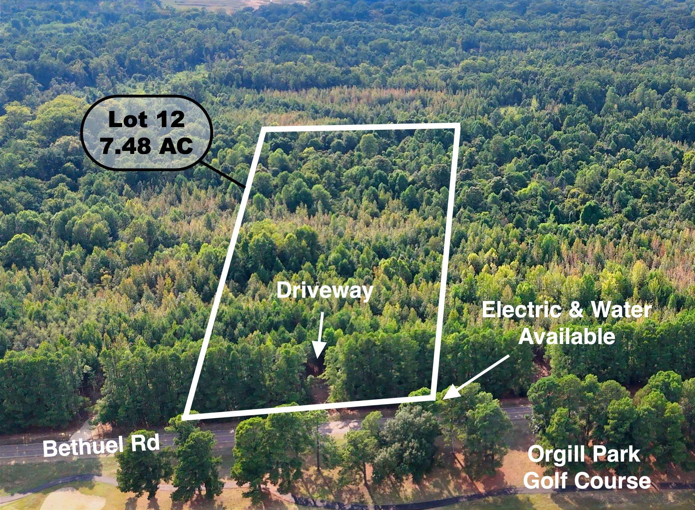 0 Bethuel Road, Unit 12 Millington, TN 38053 - Photo 1 of 15