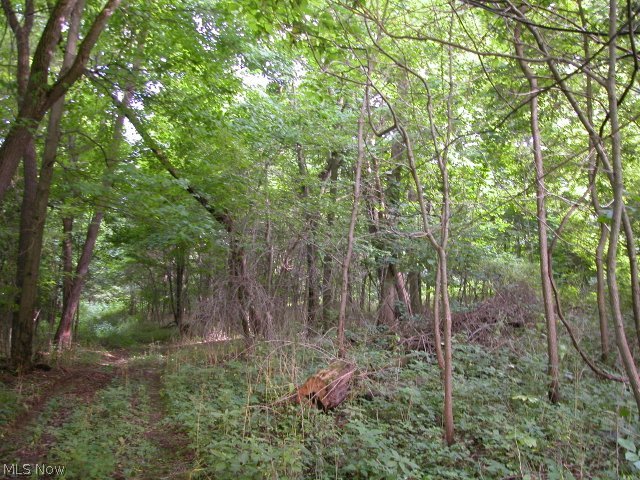 Newkirk Road Shreve, OH 44676 - Photo 11 of 12 Gallery Image 11