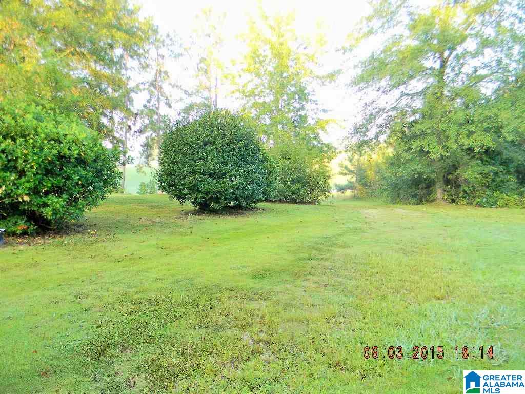 252 County Road 68 Clanton, AL 35046 - Photo 8 of 11