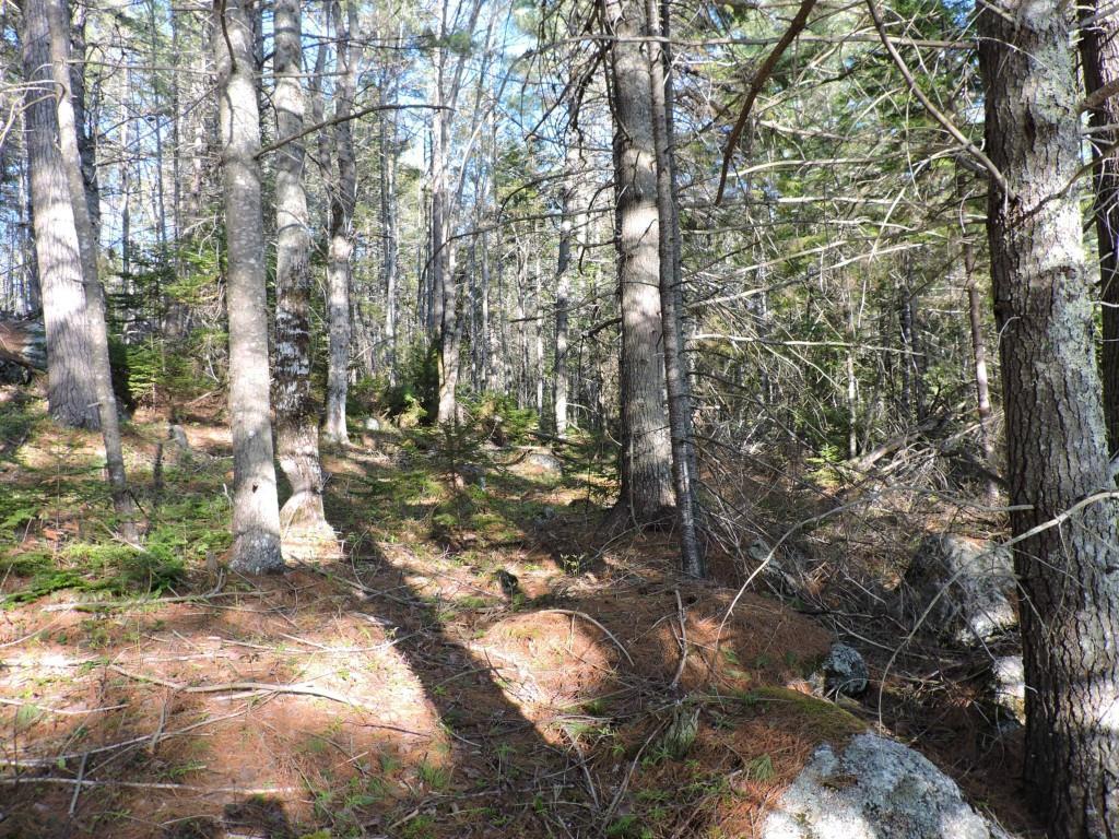 Lot #14 Short Point Way Orland, ME 04472 - Photo 17 of 17 Photo