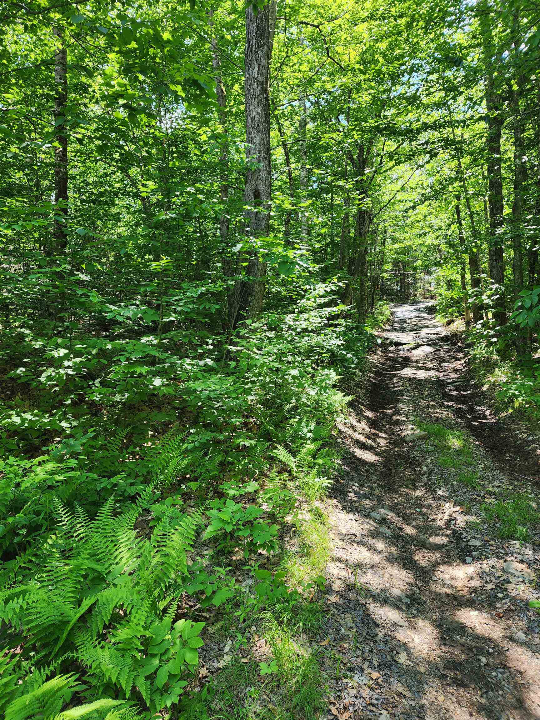 Potato Hill Road Newport, NH 03773 - Photo 1 of 6