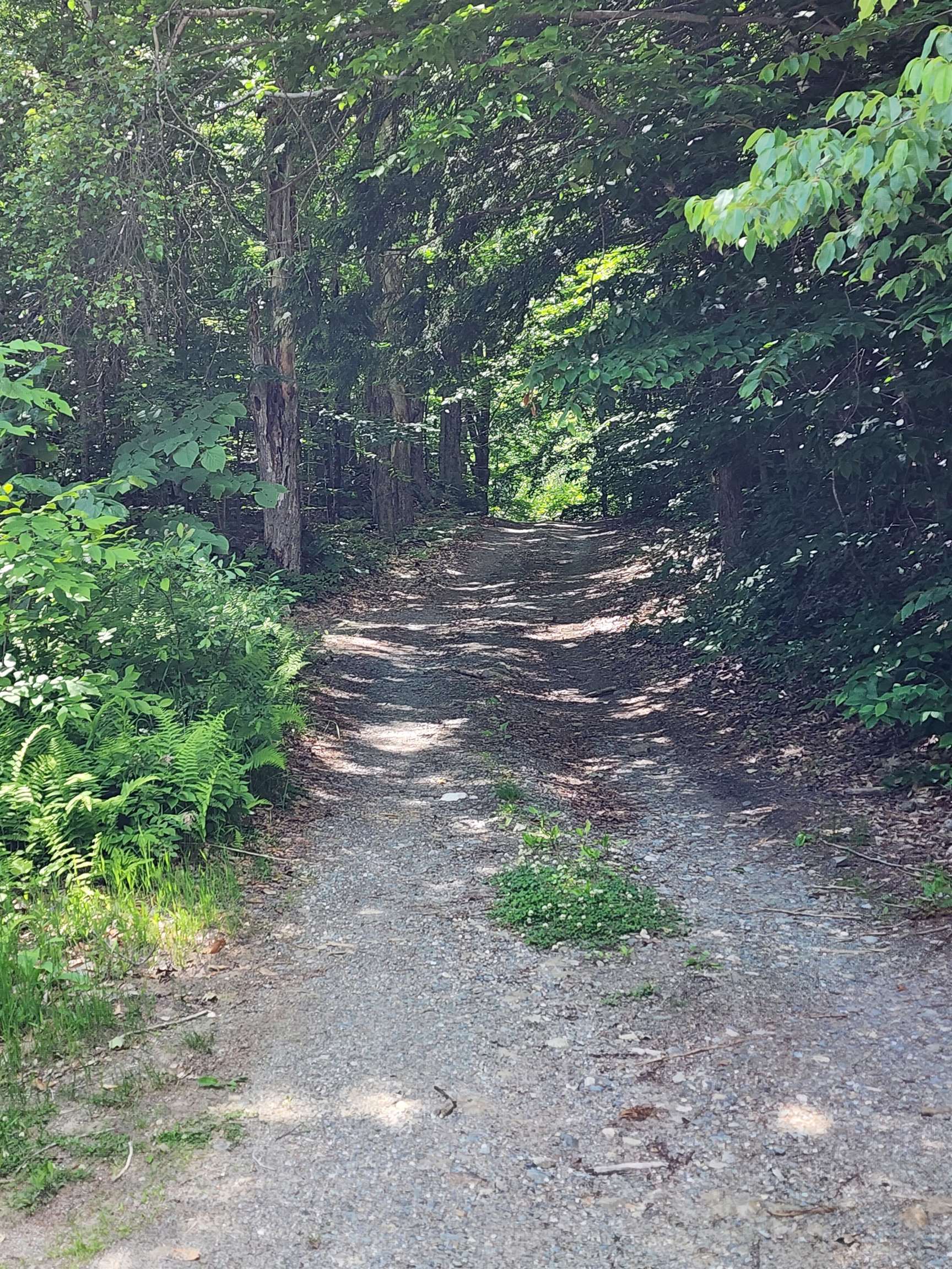 Potato Hill Road Newport, NH 03773 - Photo 2 of 6