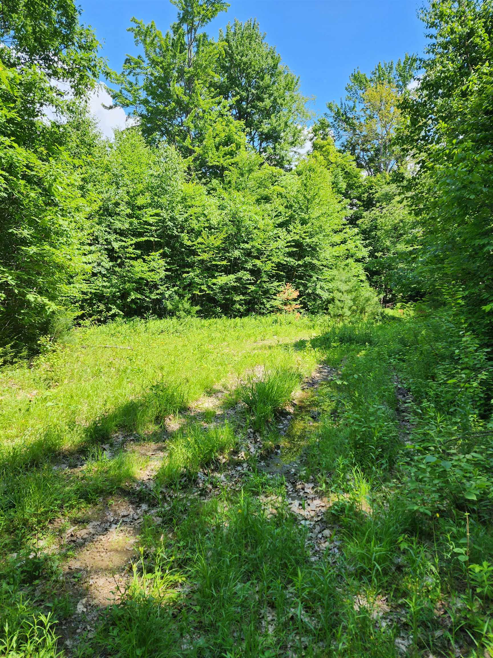 Potato Hill Road Newport, NH 03773 - Photo 3 of 6