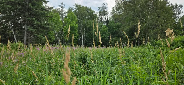 $279,000 | 858 Allagash Road, Allagash, ME 04774