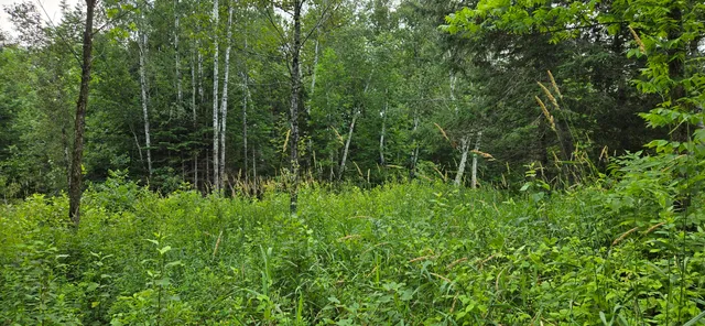 $279,000 | 858 Allagash Road, Allagash, ME 04774