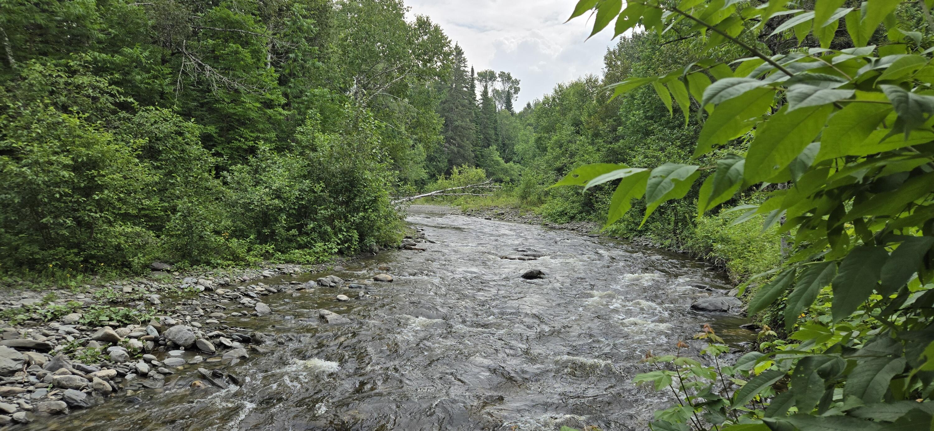 858 Allagash Road Allagash, ME 04774 - Photo 43 of 65 20250719_122256