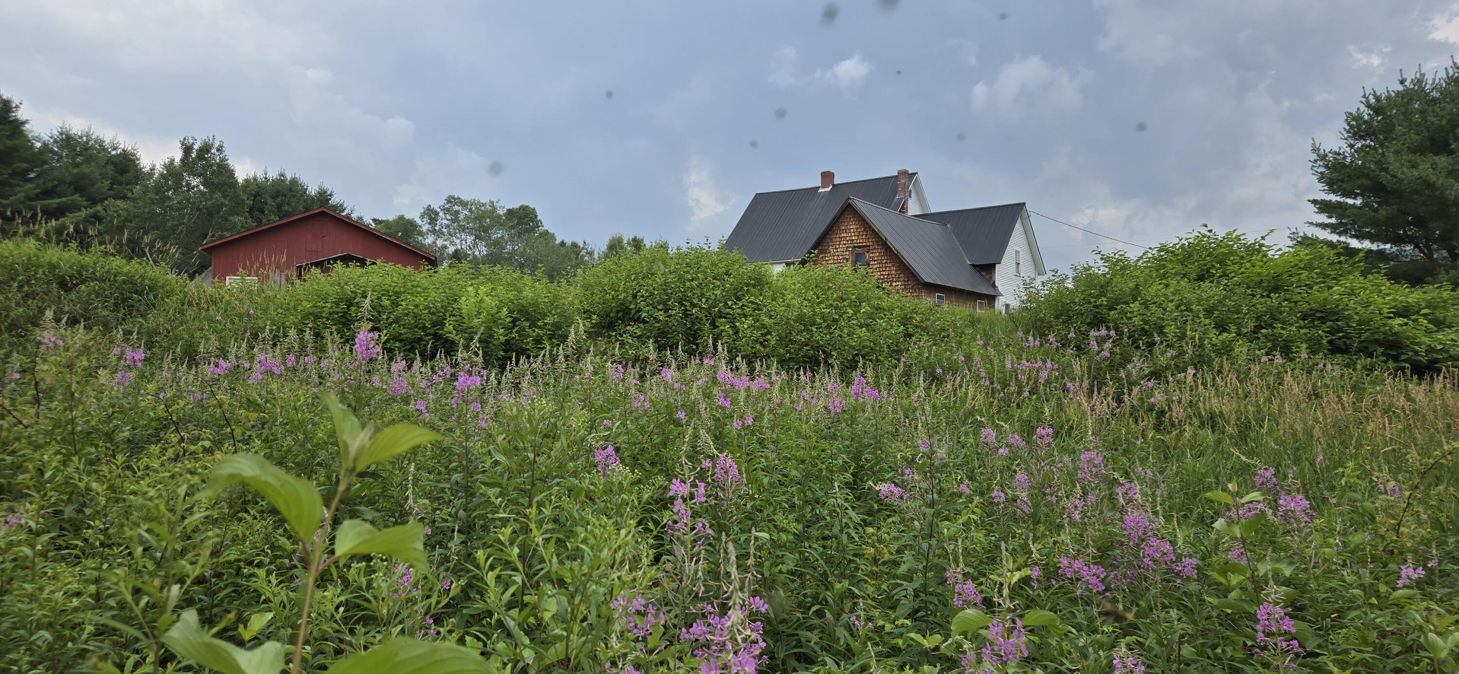 858 Allagash Road Allagash, ME 04774 - Photo 46 of 65 20250719_122934