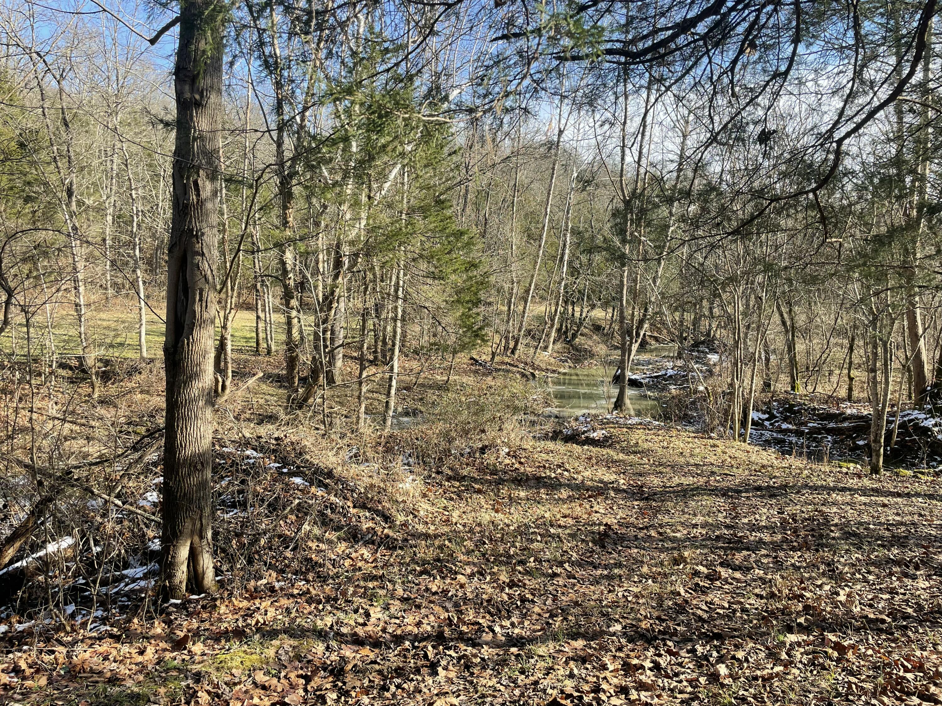 1078 Hamilton Road Brooksville, KY 41004 - Photo 39 of 50