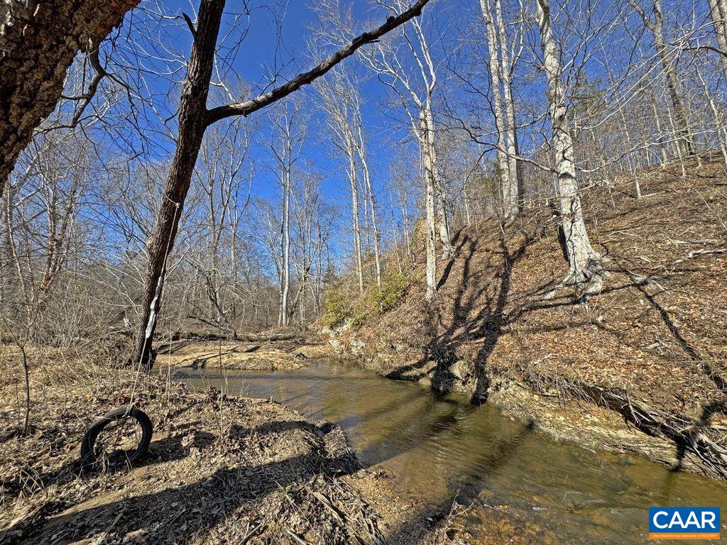 4789 Ruritan Lake Road Palmyra, VA 22963 - Photo 33 of 41 Gallery Image 33