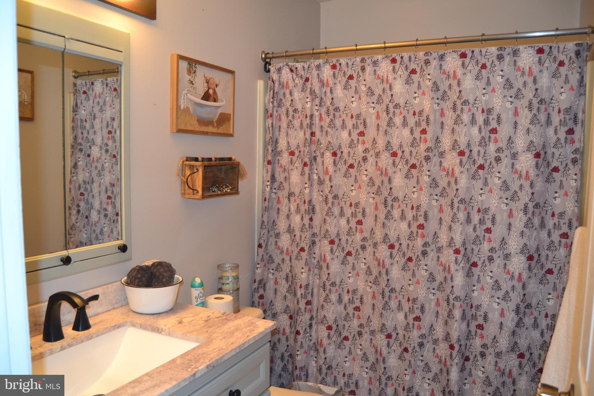 686 State Road West Grove, PA 19390 - Photo 16 of 43 a bathroom with a granite countertop sink and a mirror
