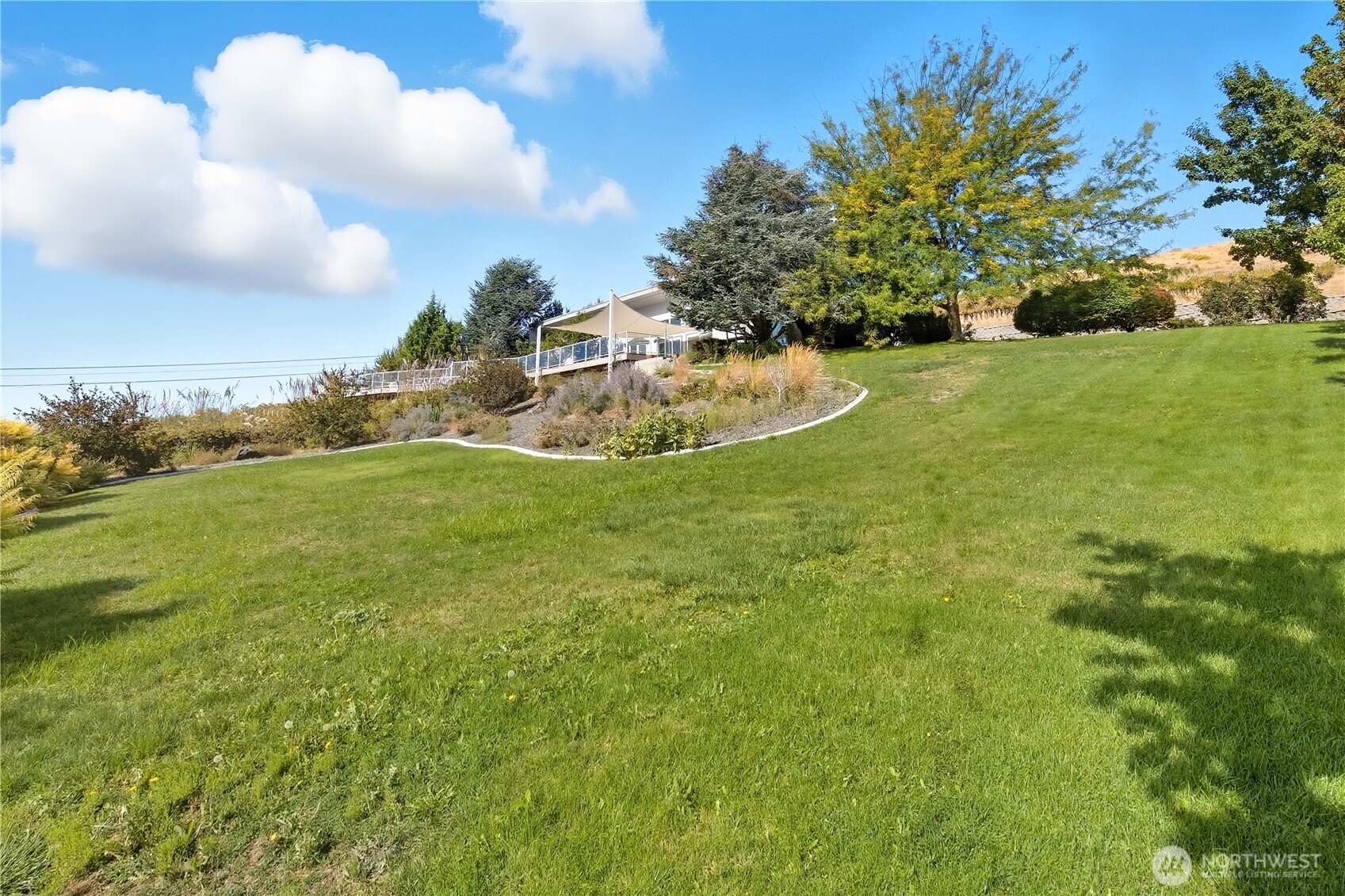 5404 Collins Road West Richland, WA 99353 - Photo 34 of 39 a view of a green yard with an trees