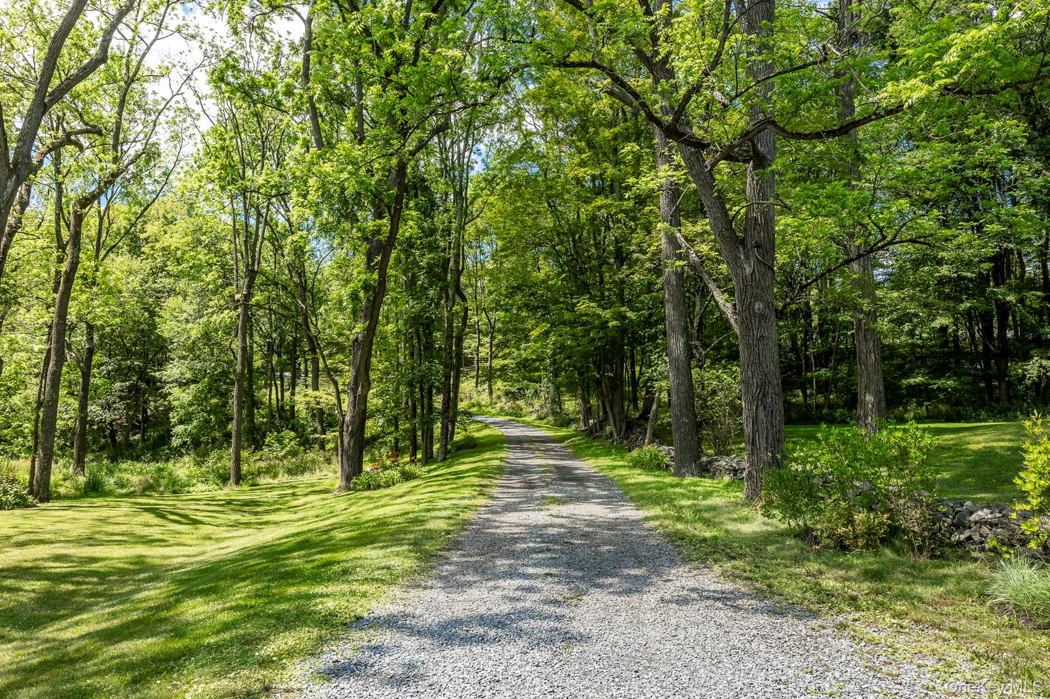 176 Schoolhouse Road Staatsburg, NY 12580 - Photo 37 of 37 a backyard of a house with lots of green space