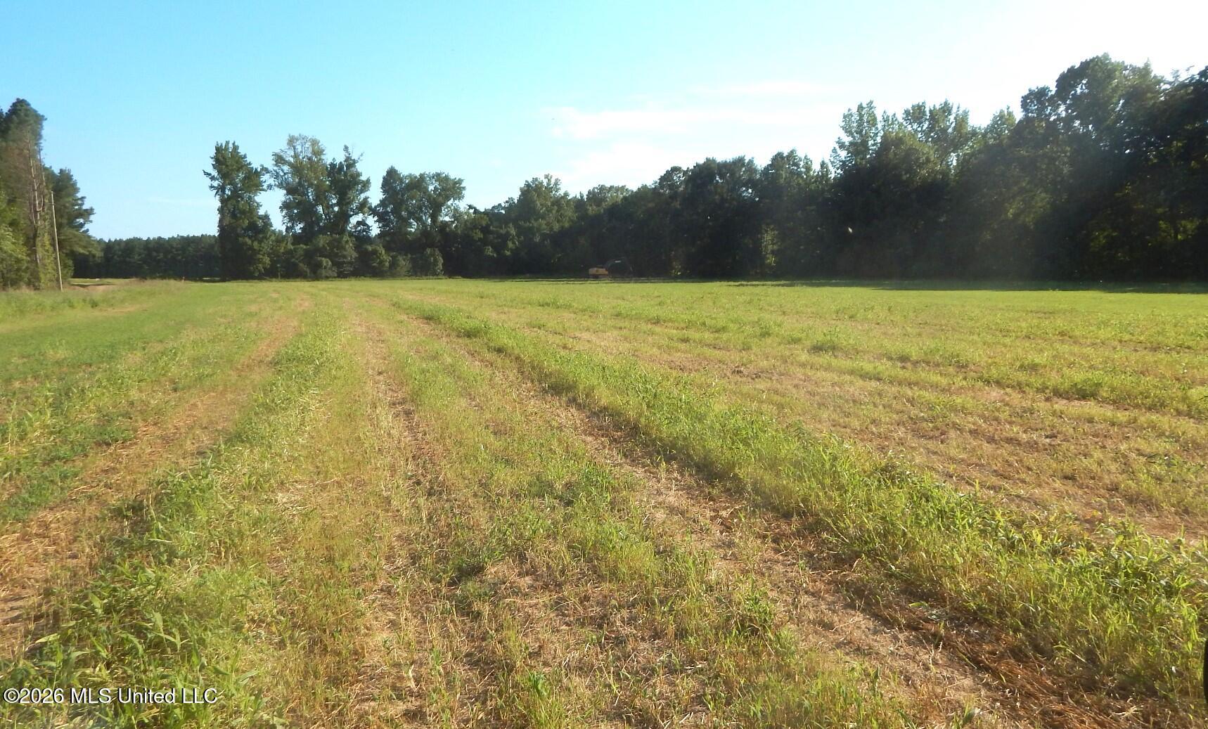 565 County Road 247 Bruce, MS 38915 - Photo 3 of 13 DSCN5647