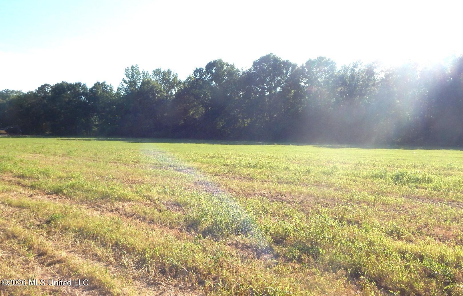 565 County Road 247 Bruce, MS 38915 - Photo 4 of 13 DSCN5648