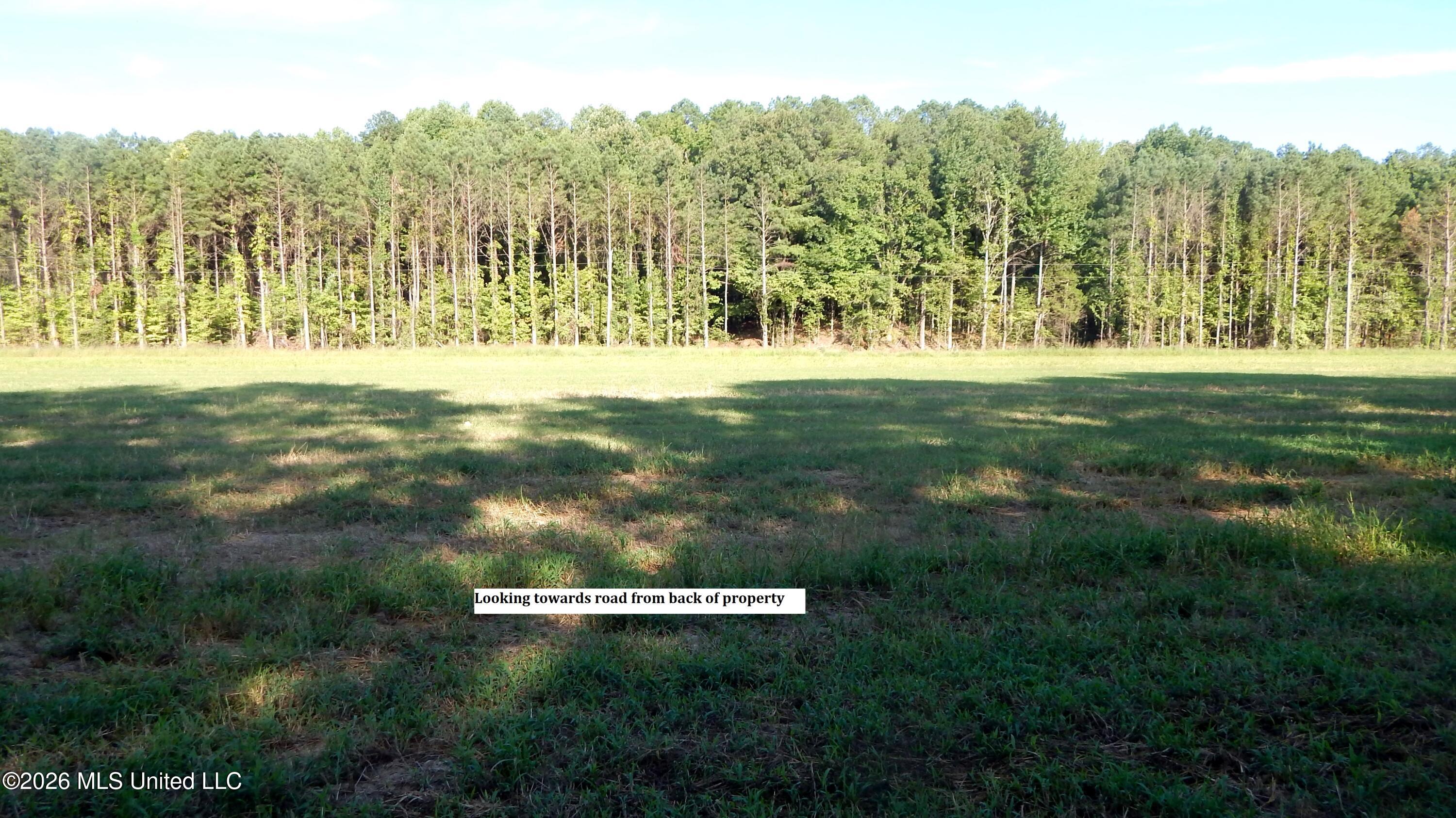 565 County Road 247 Bruce, MS 38915 - Photo 5 of 13 DSCN5650