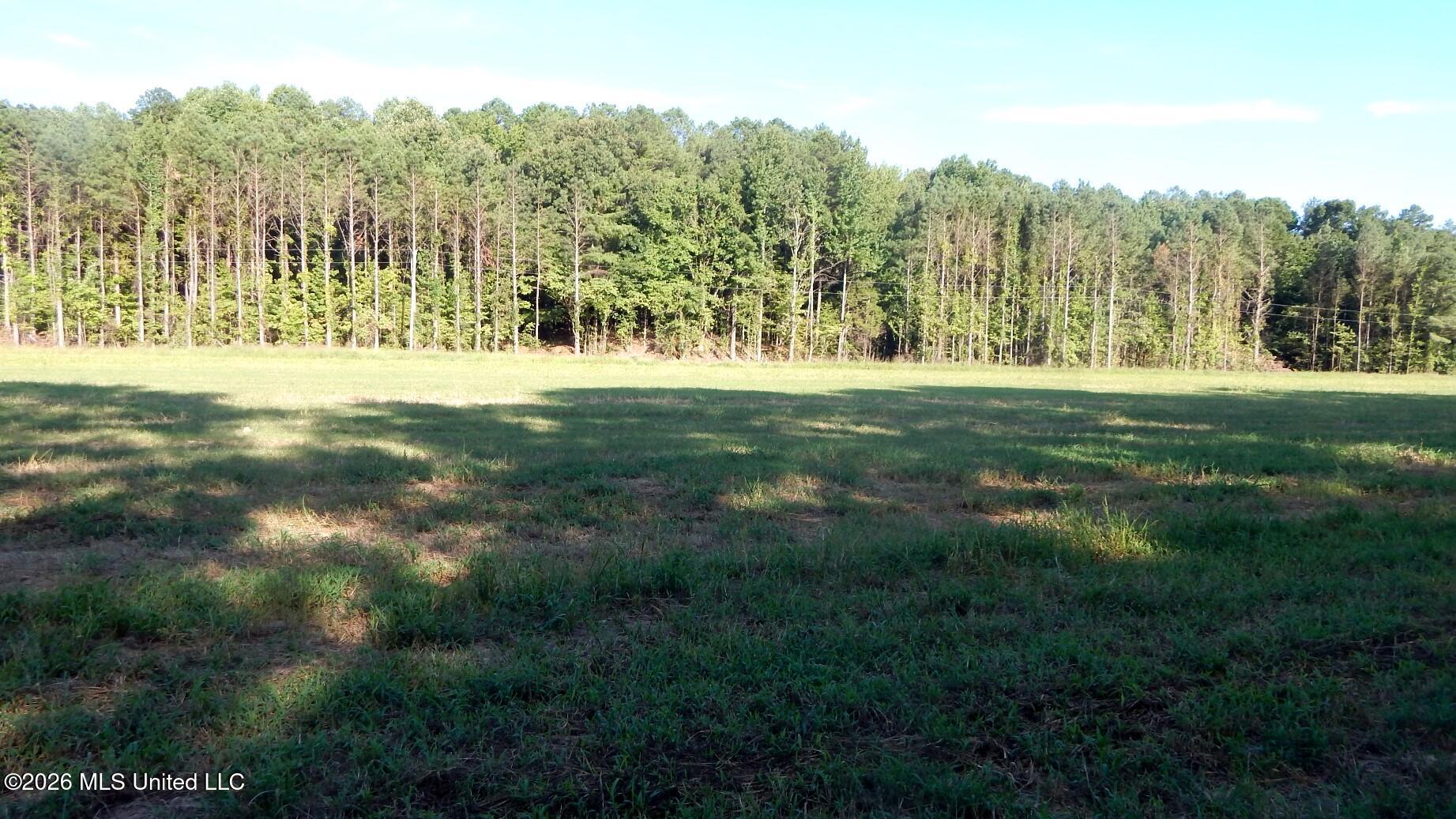 565 County Road 247 Bruce, MS 38915 - Photo 6 of 13 DSCN5651