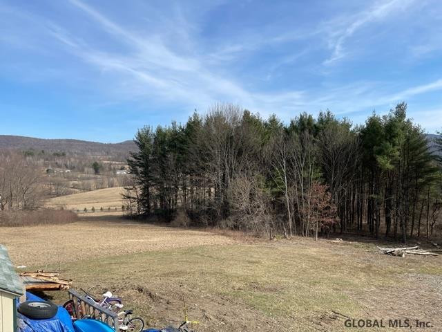 93 Mapletown Road Hoosick, NY 12090 - Photo 32 of 32 Photo 32