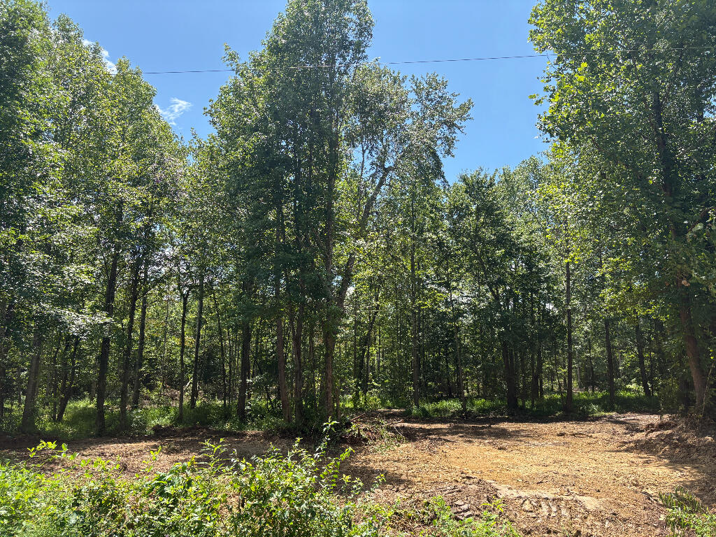 Tbd Forge Mill Road Clay City, KY 40312 - Photo 30 of 43 29