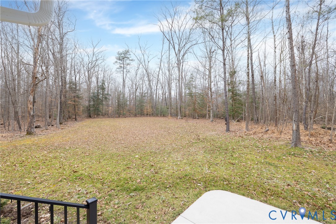 6201 Old Roxbury Road Quinton, VA 23141 - Photo 7 of 49