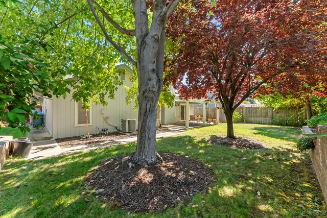 a view of a yard with a tree
