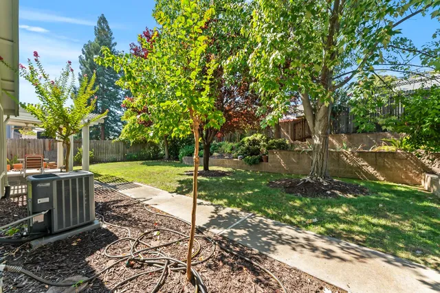 a view of a park with large trees