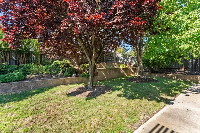 a backyard of a house with lots of green space
