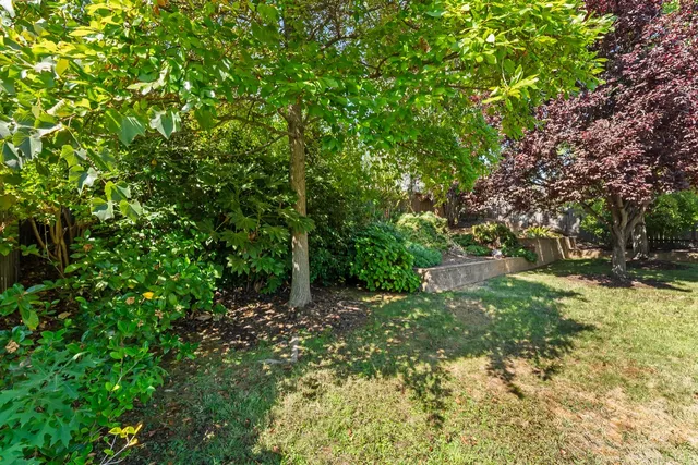 a view of yard with green space