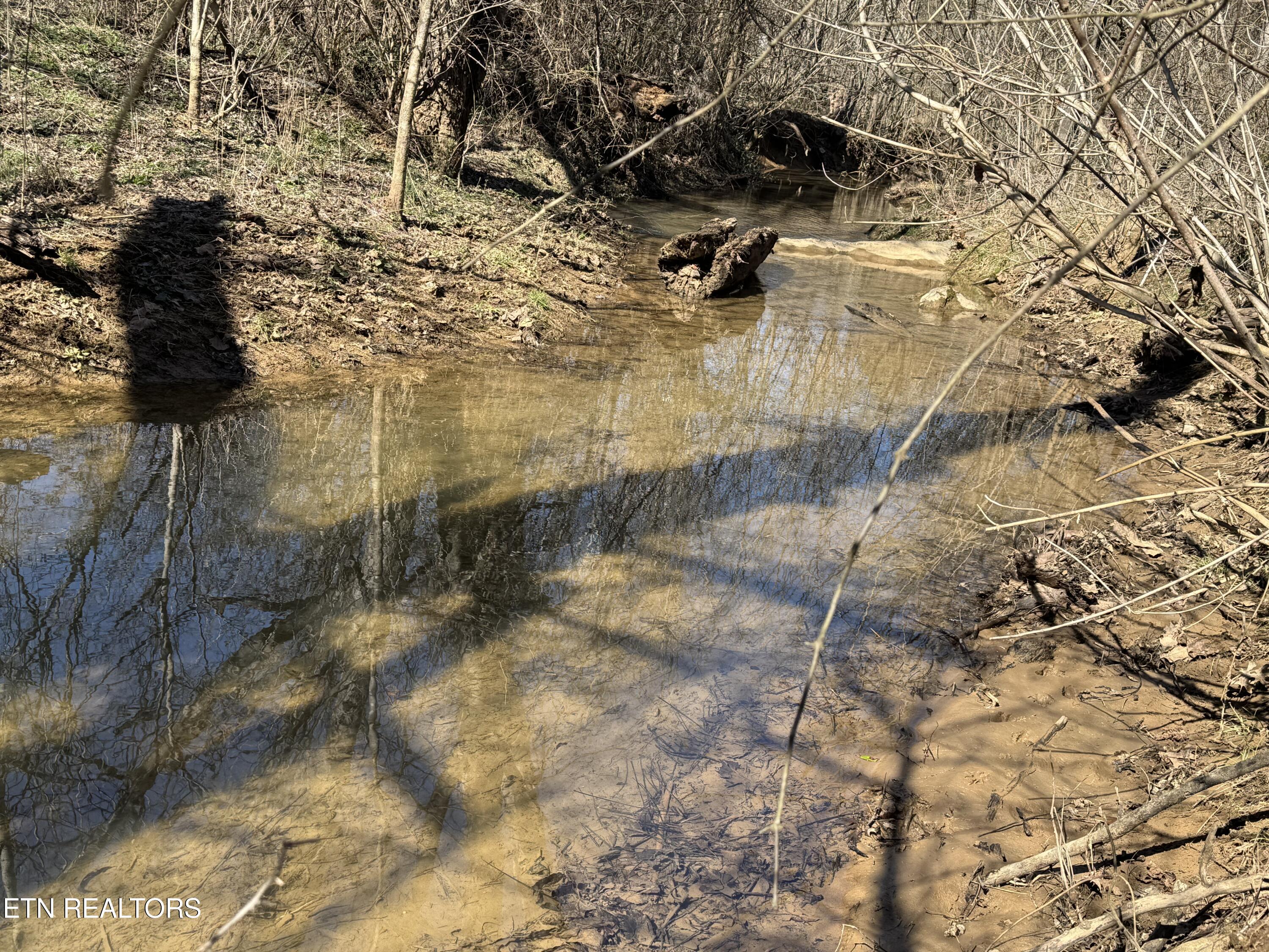 West Union Valley Road Seymour, TN 37865 - Photo 11 of 42 IMG_3968