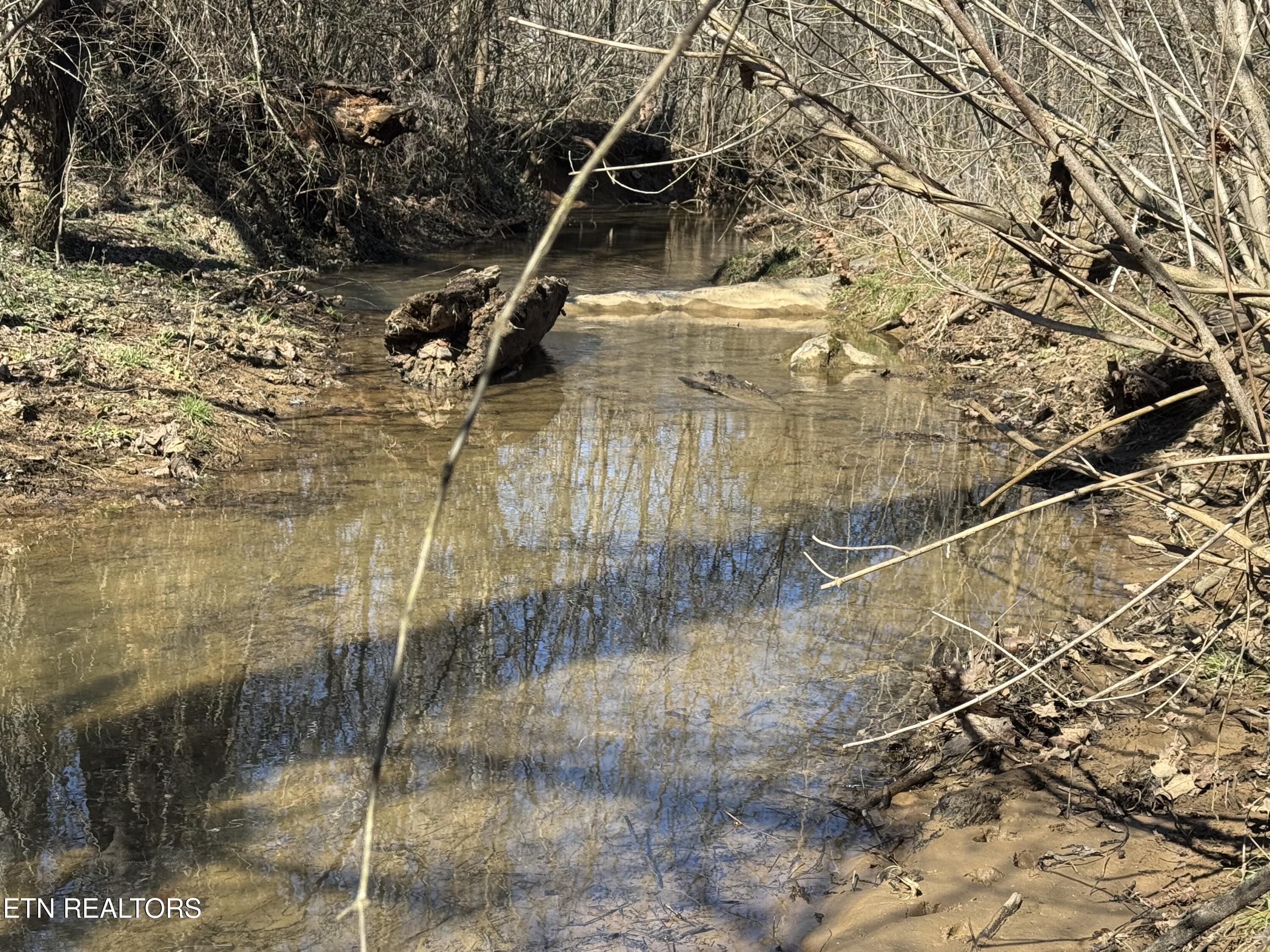 West Union Valley Road Seymour, TN 37865 - Photo 12 of 42 IMG_3969