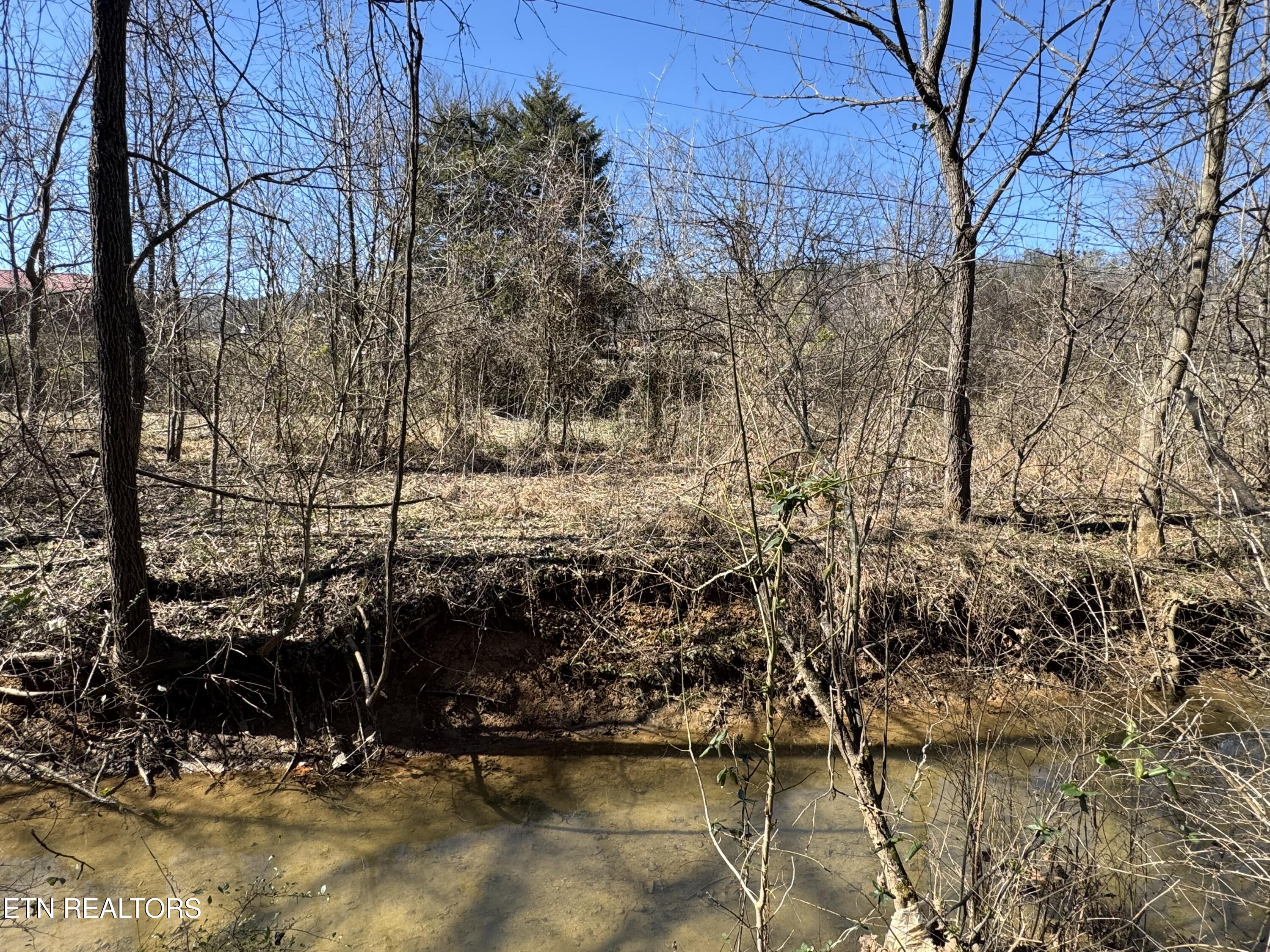 West Union Valley Road Seymour, TN 37865 - Photo 13 of 42 IMG_3970