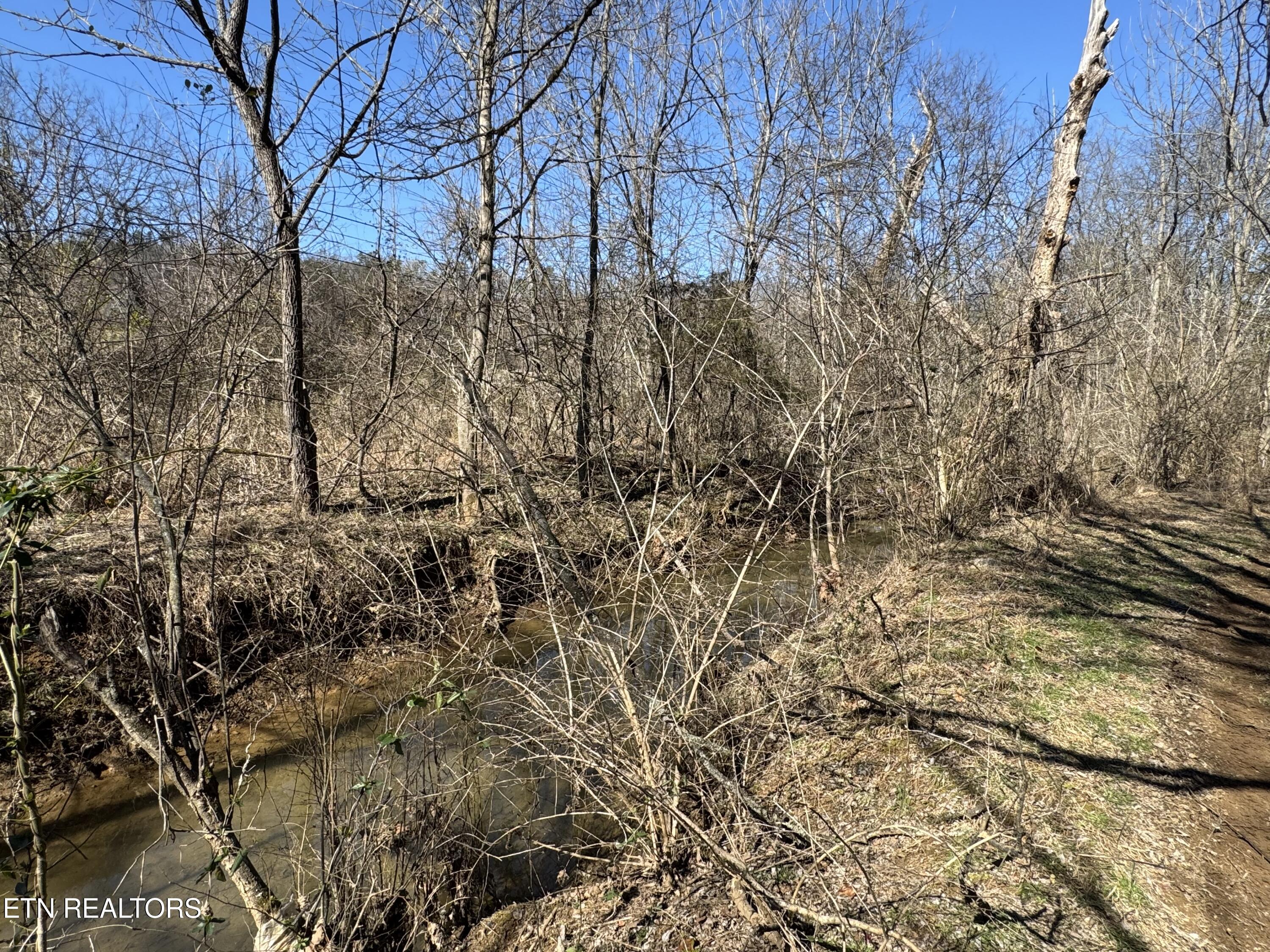 West Union Valley Road Seymour, TN 37865 - Photo 14 of 42 IMG_3971