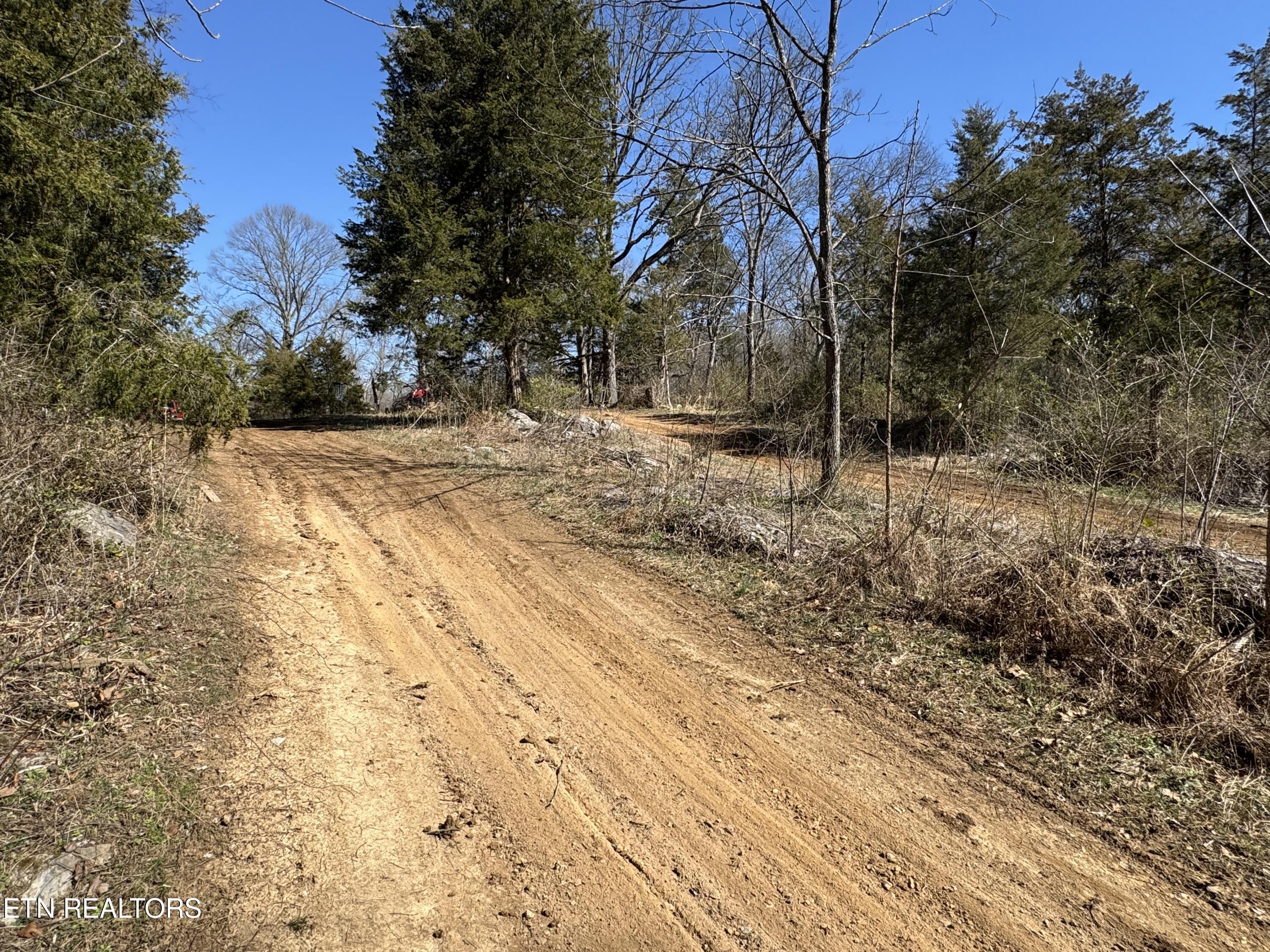 West Union Valley Road Seymour, TN 37865 - Photo 17 of 42 IMG_3974