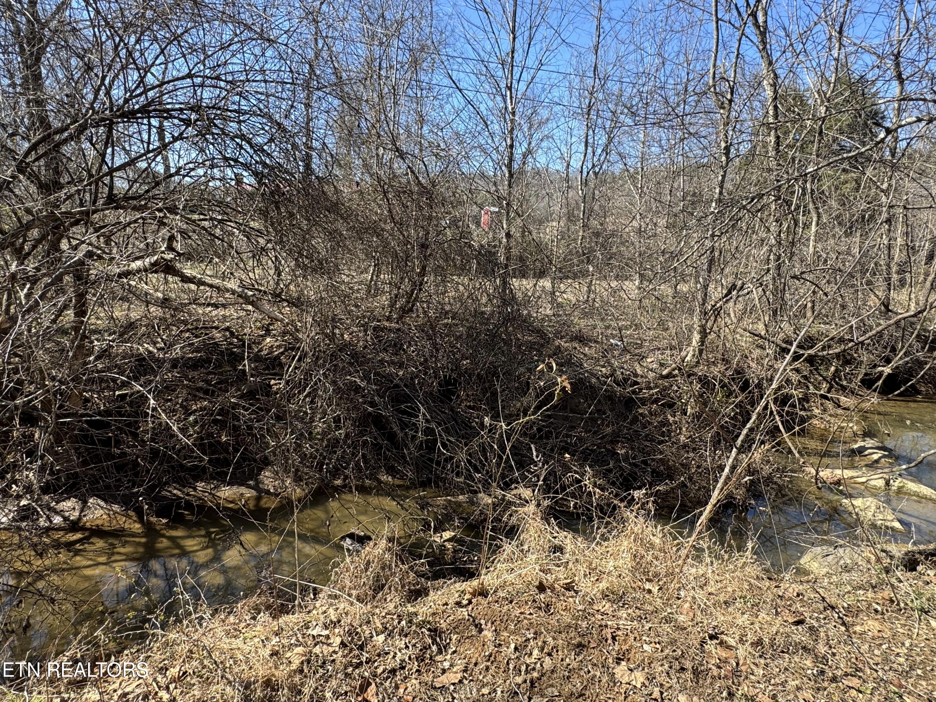 West Union Valley Road Seymour, TN 37865 - Photo 20 of 42 IMG_3977