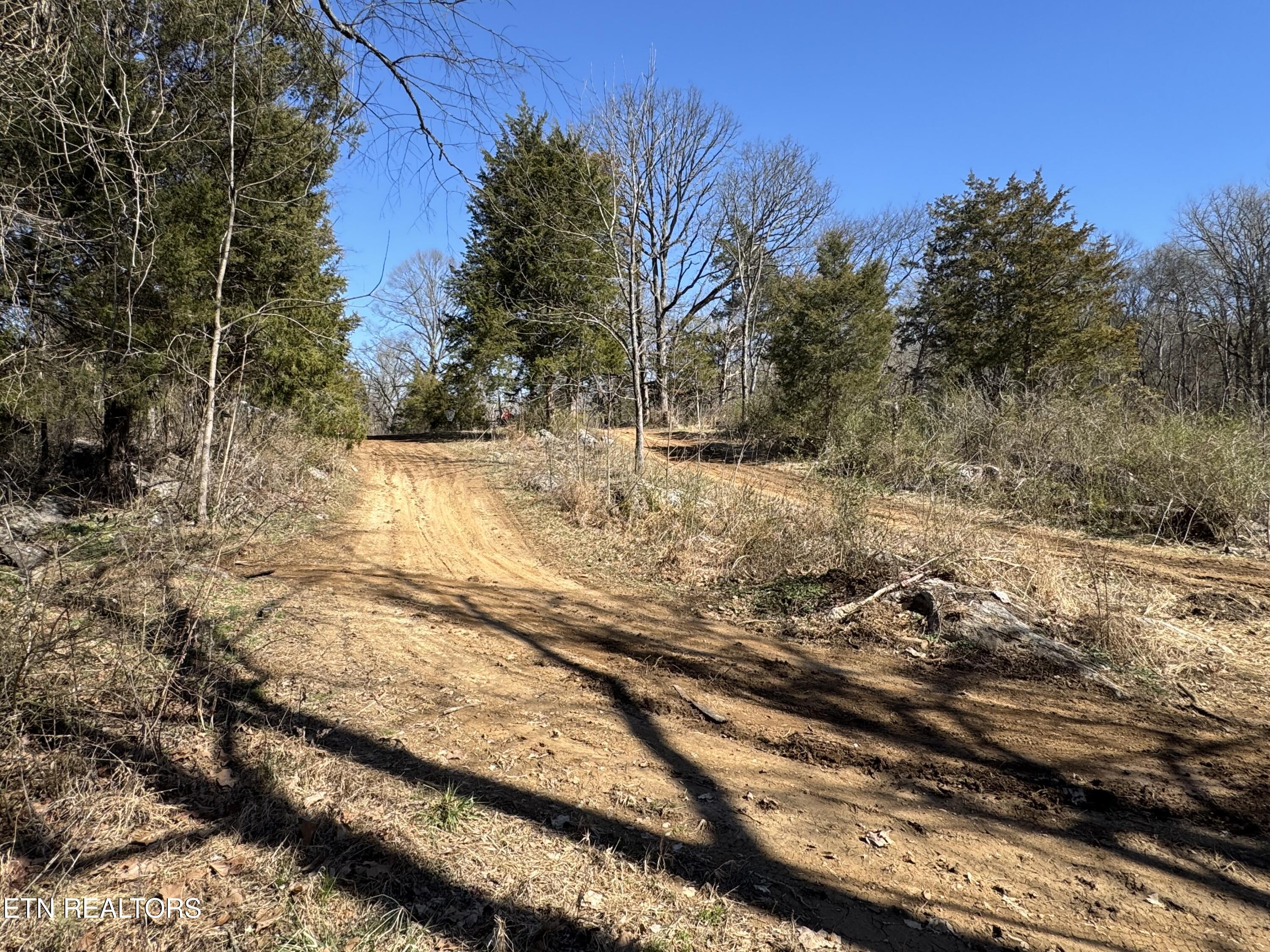 West Union Valley Road Seymour, TN 37865 - Photo 22 of 42 IMG_3979