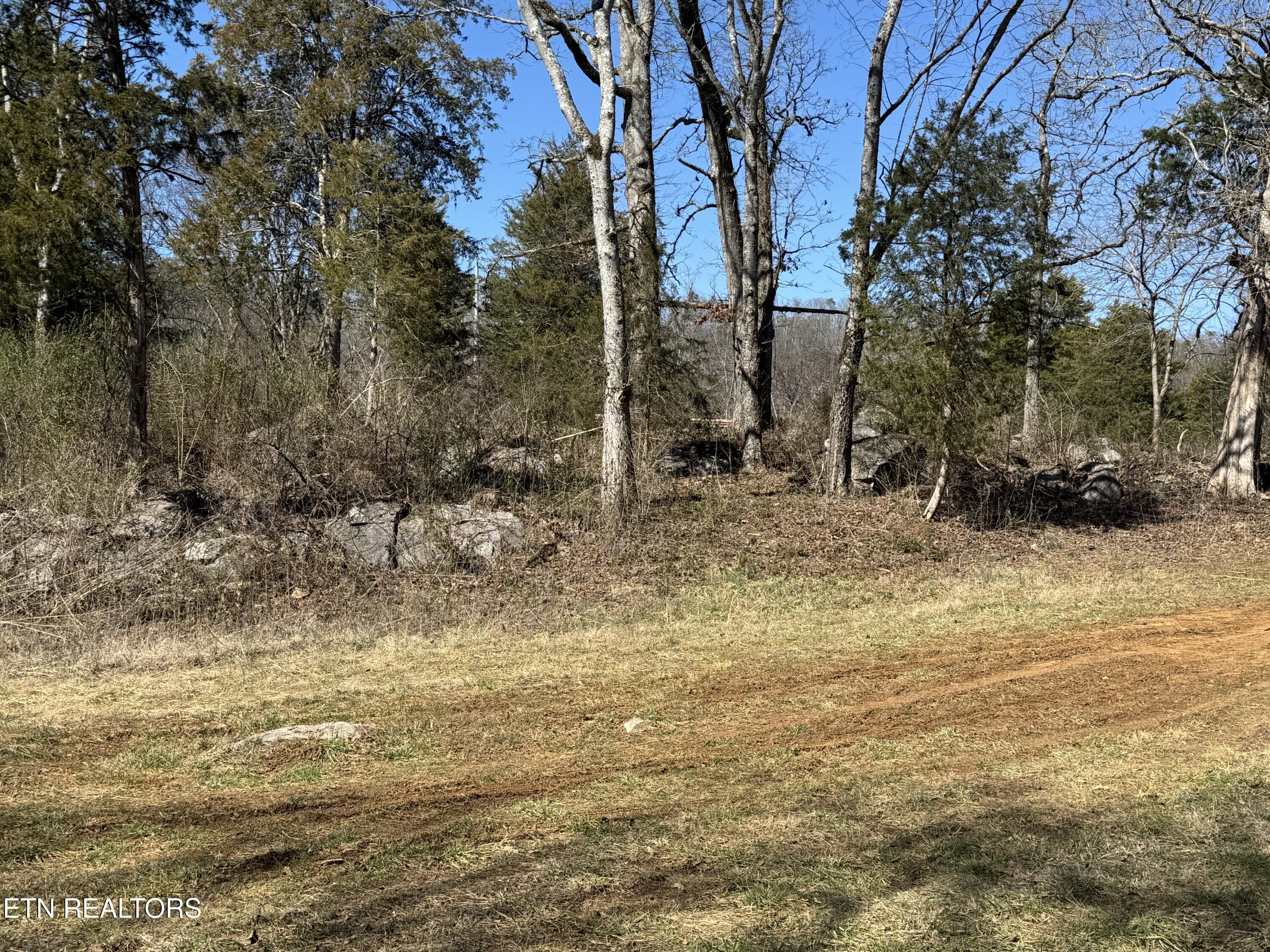 West Union Valley Road Seymour, TN 37865 - Photo 26 of 42 IMG_3986