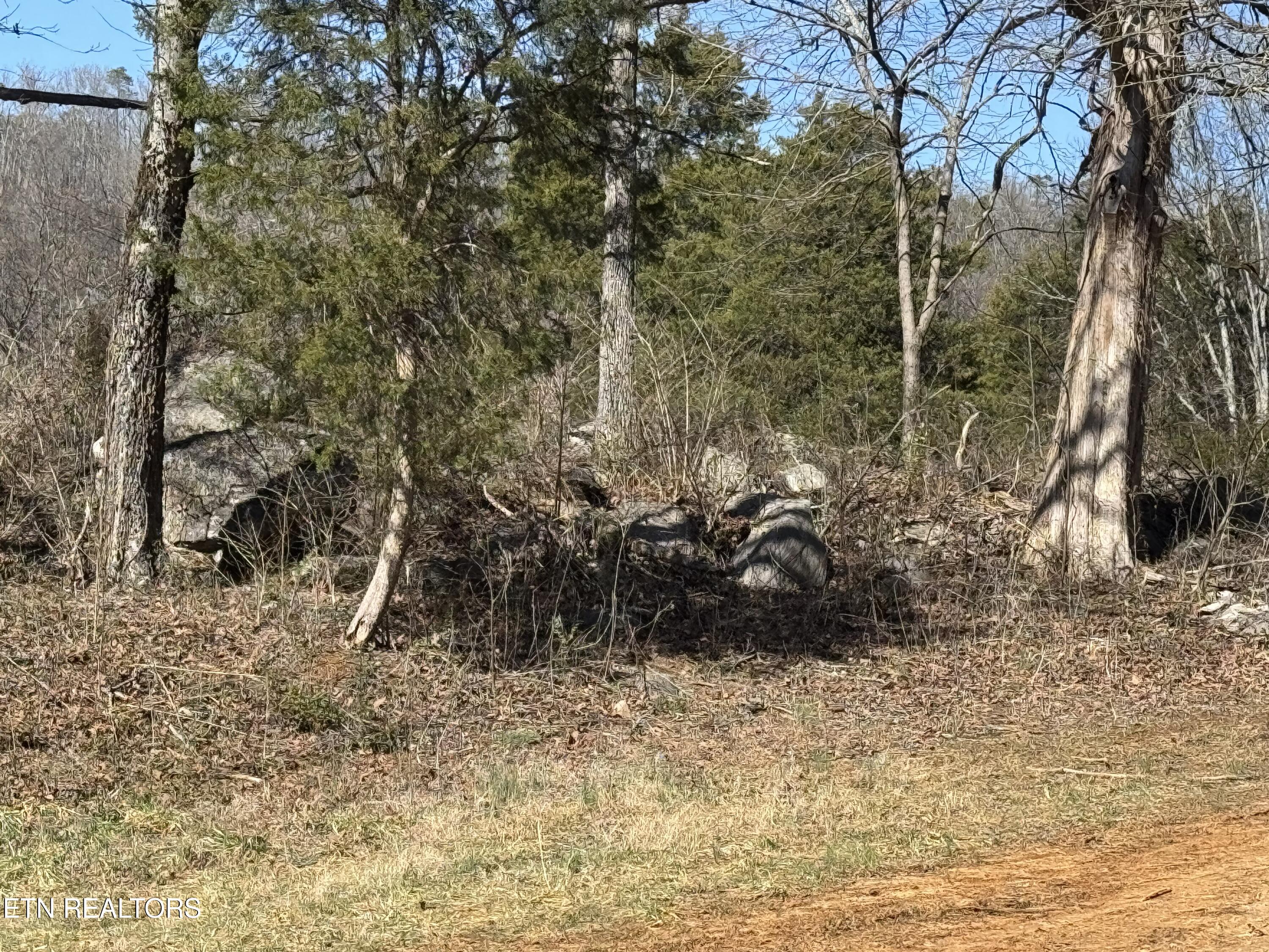 West Union Valley Road Seymour, TN 37865 - Photo 27 of 42 IMG_3987