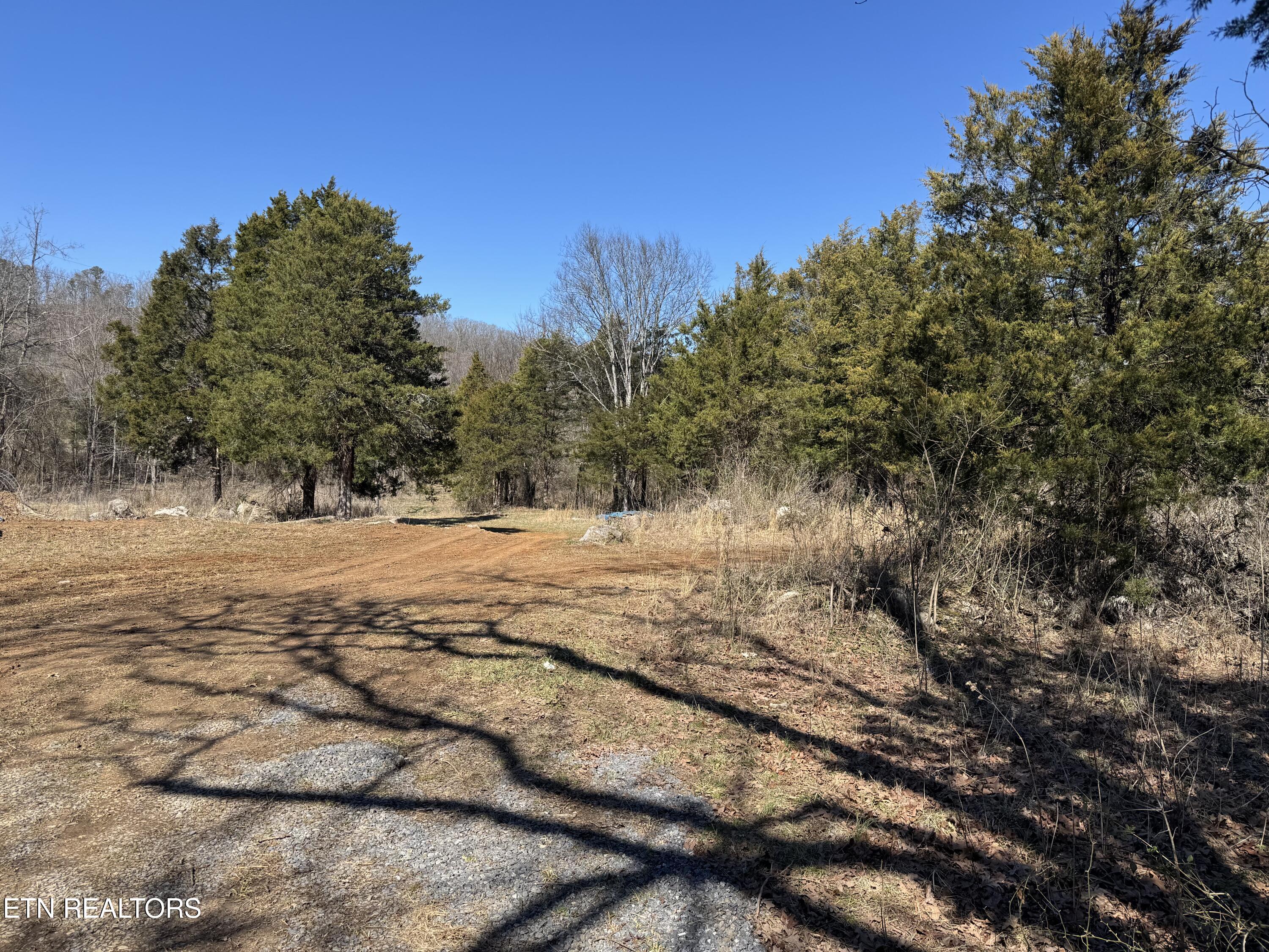 West Union Valley Road Seymour, TN 37865 - Photo 3 of 42 IMG_3958