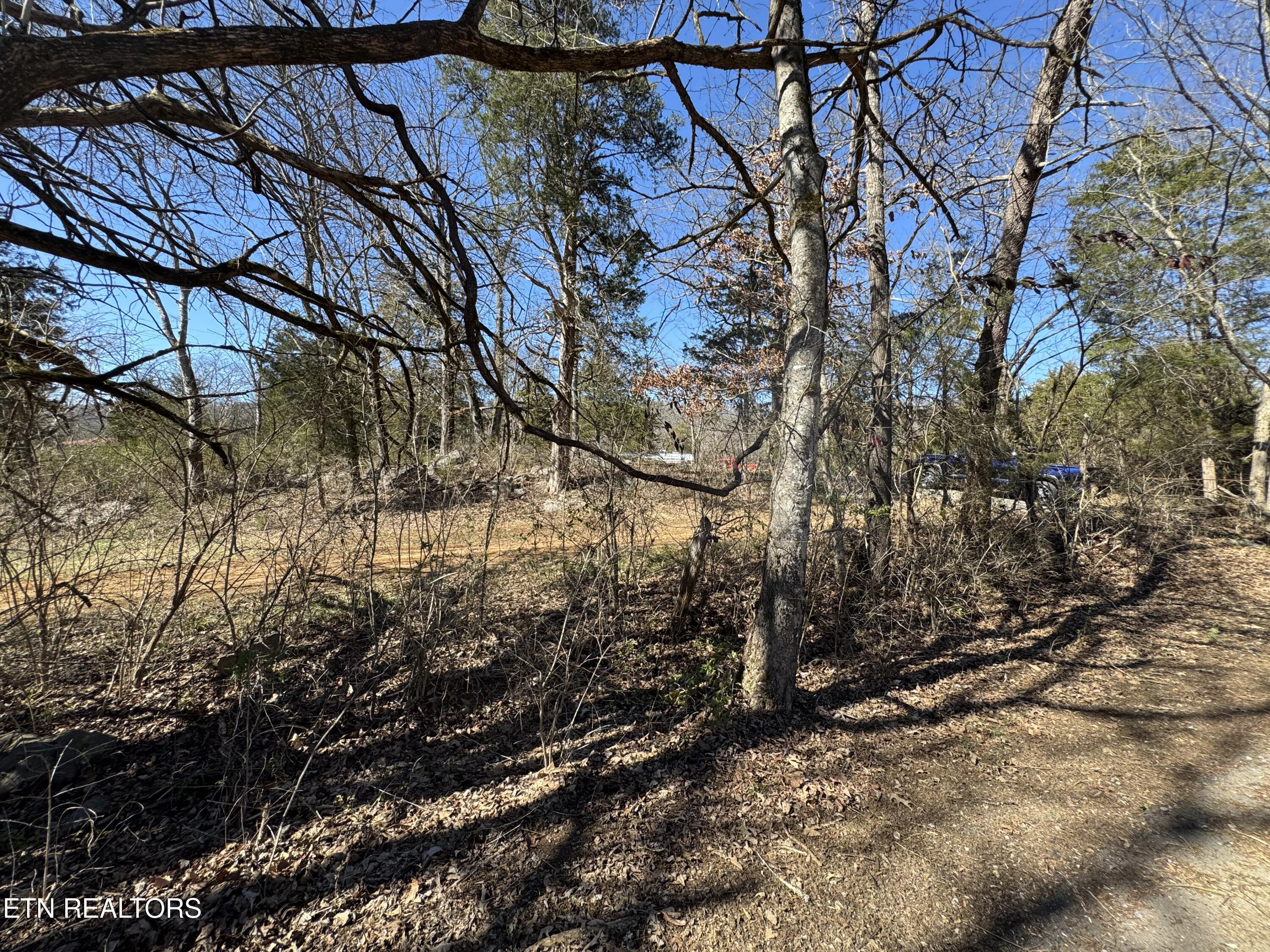 West Union Valley Road Seymour, TN 37865 - Photo 35 of 42 IMG_3995