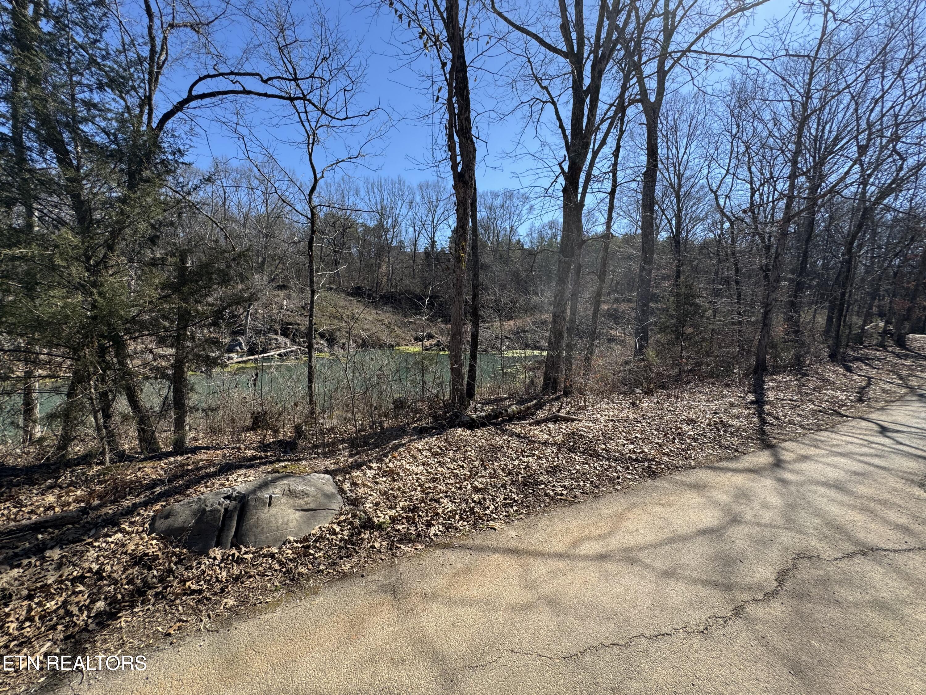 West Union Valley Road Seymour, TN 37865 - Photo 37 of 42 IMG_3997