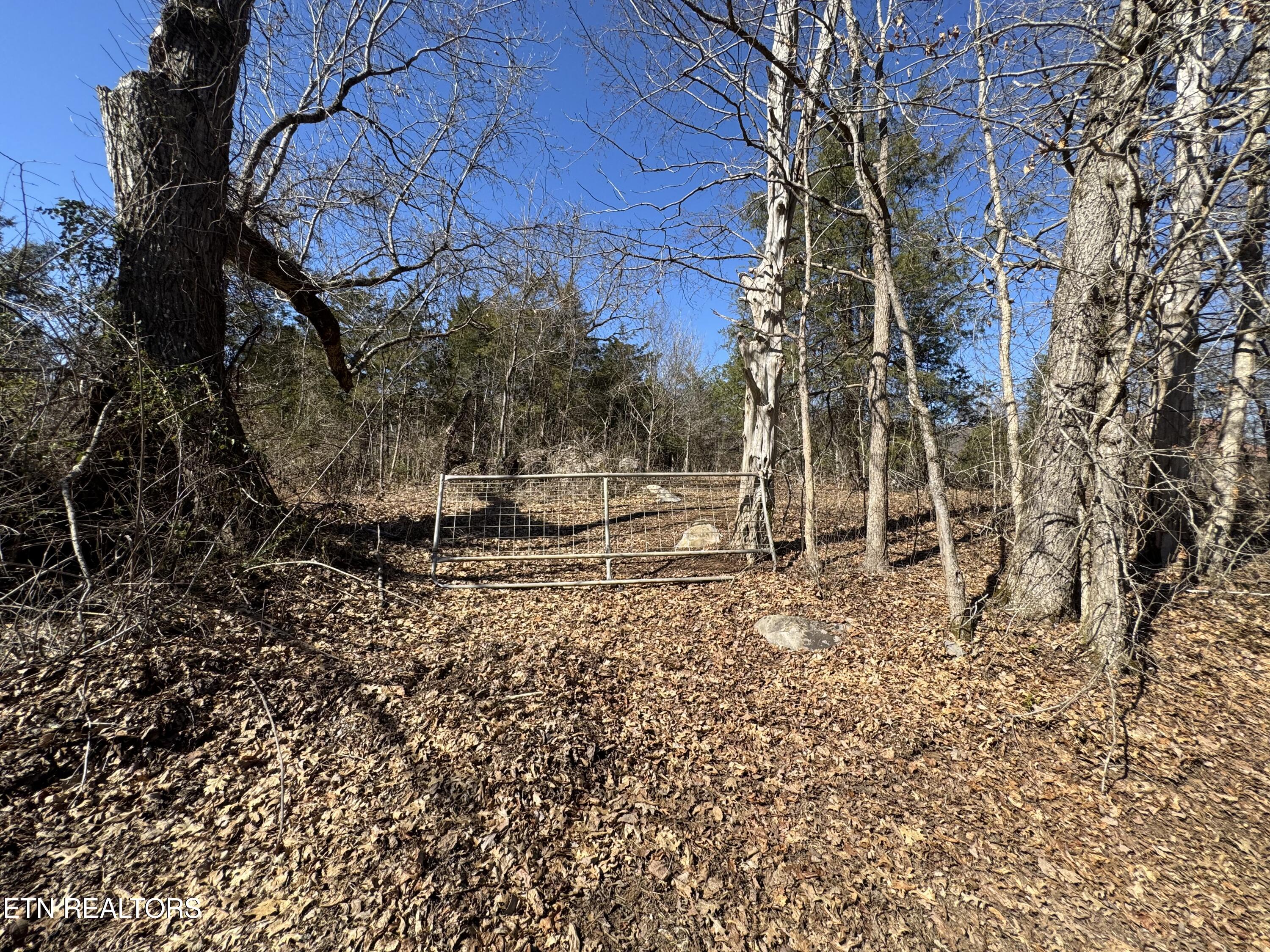 West Union Valley Road Seymour, TN 37865 - Photo 38 of 42 IMG_3998