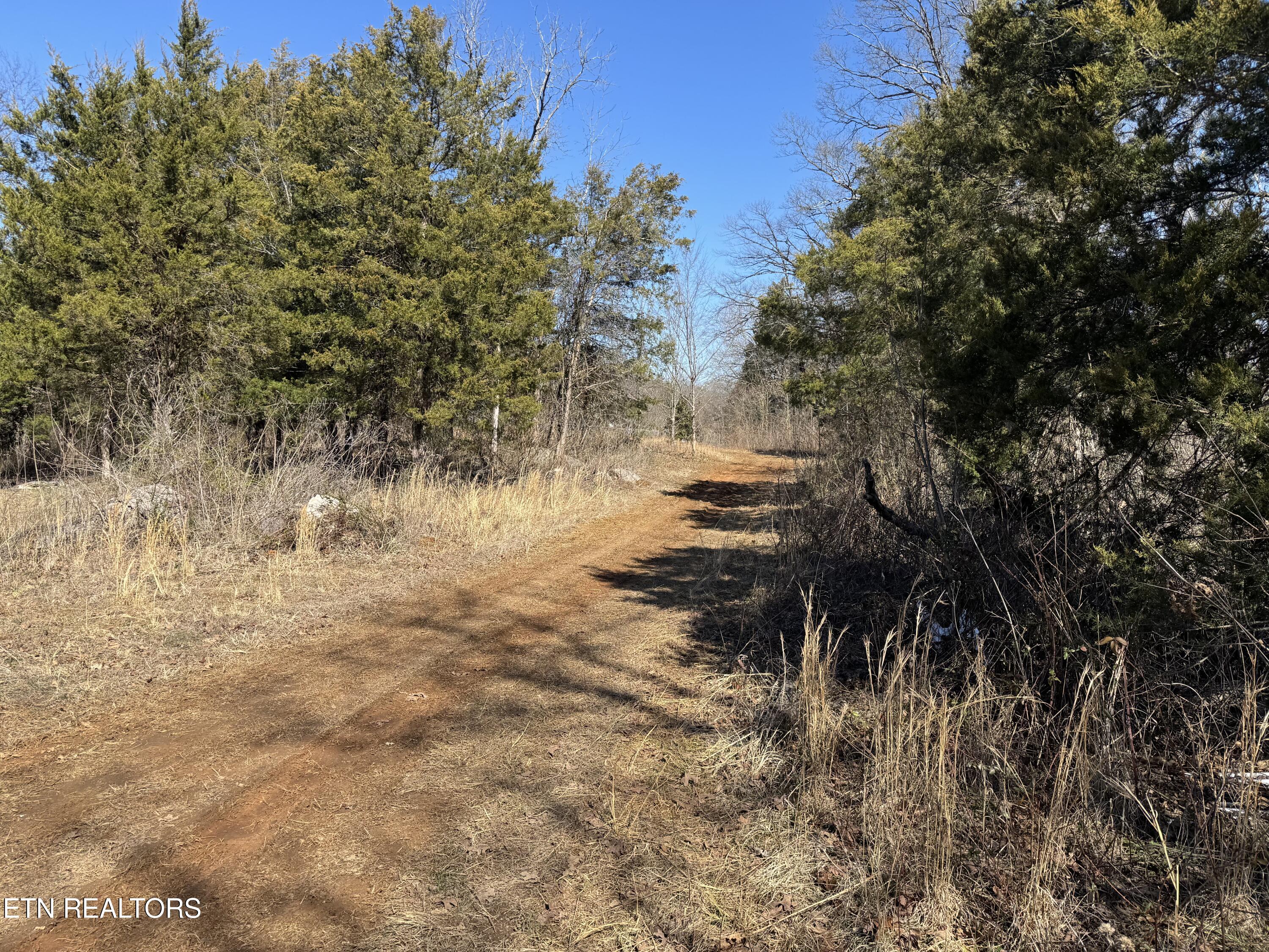West Union Valley Road Seymour, TN 37865 - Photo 4 of 42 IMG_3959