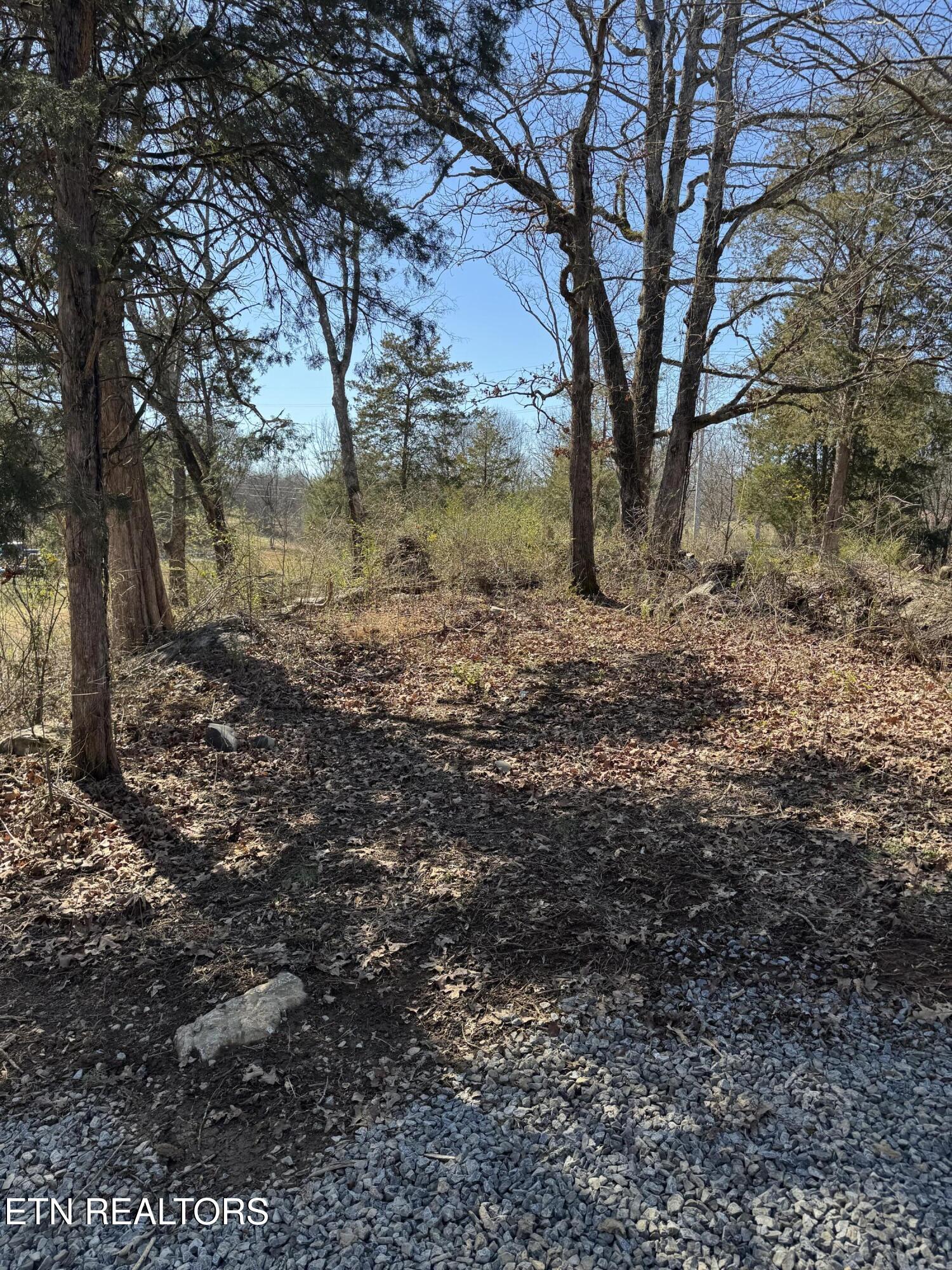 West Union Valley Road Seymour, TN 37865 - Photo 41 of 42 IMG_4005