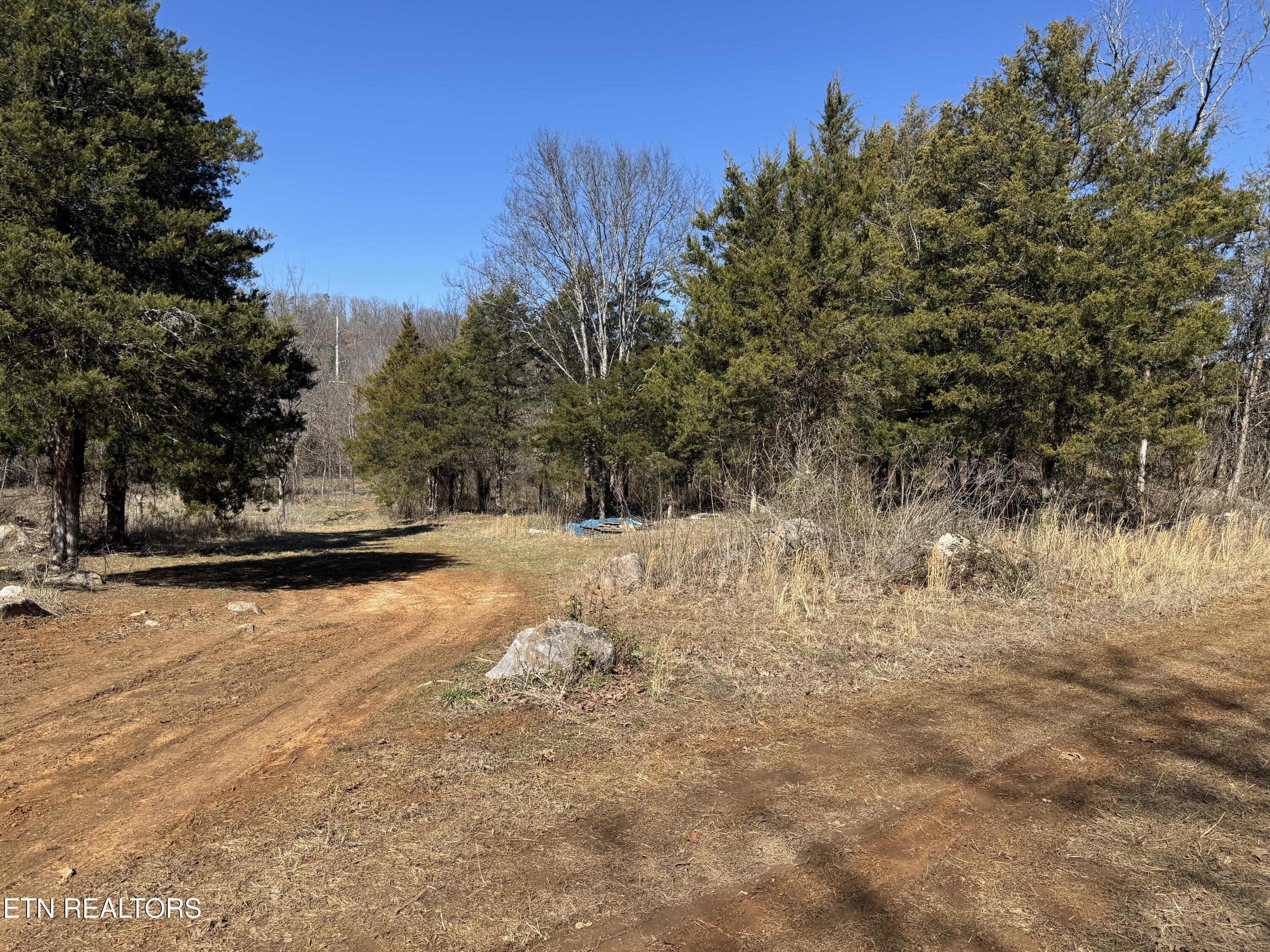 West Union Valley Road Seymour, TN 37865 - Photo 5 of 42 IMG_3960