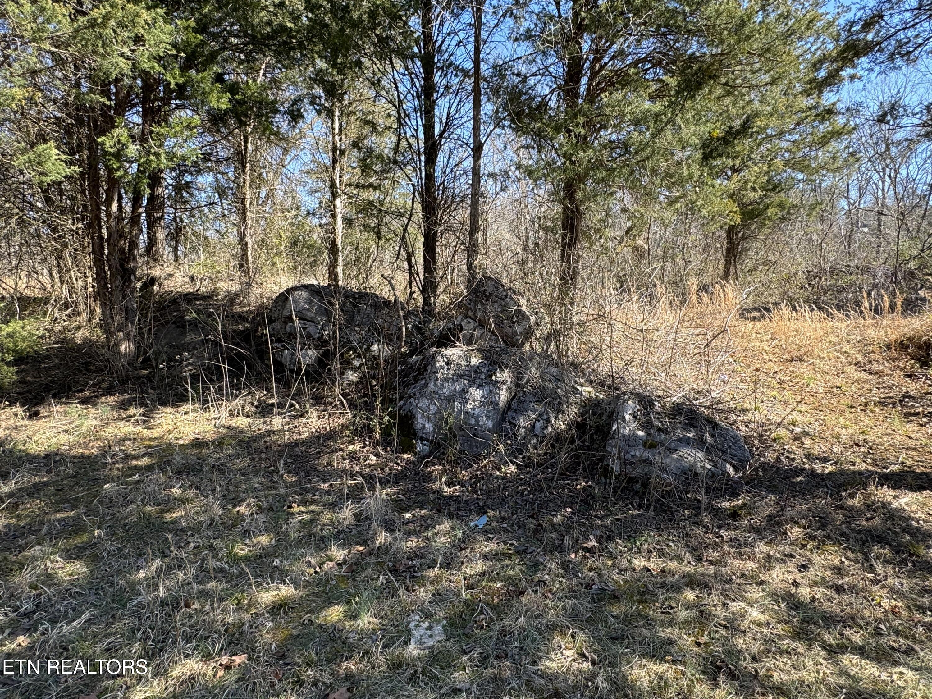 West Union Valley Road Seymour, TN 37865 - Photo 6 of 42 IMG_3963