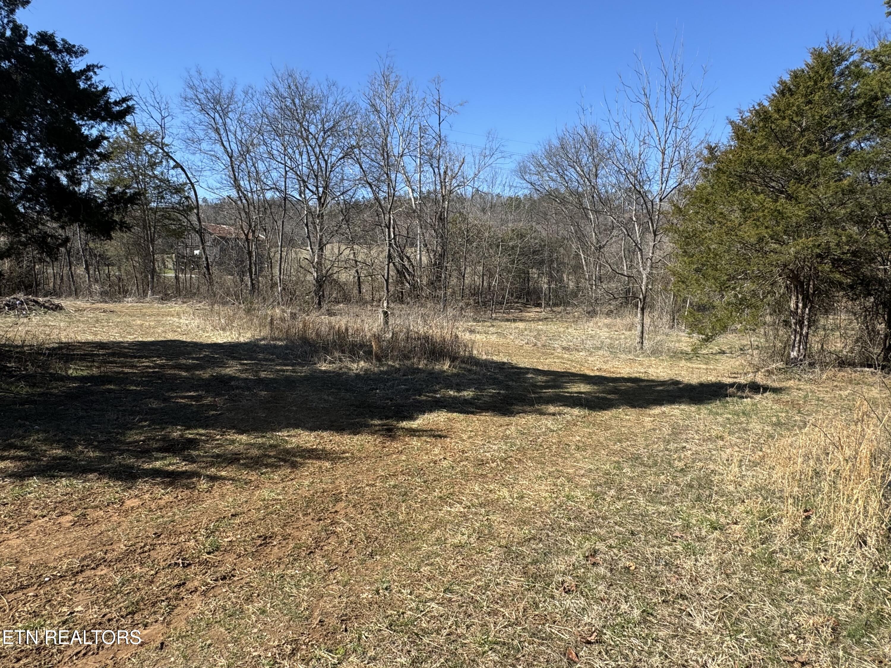 West Union Valley Road Seymour, TN 37865 - Photo 7 of 42 IMG_3964