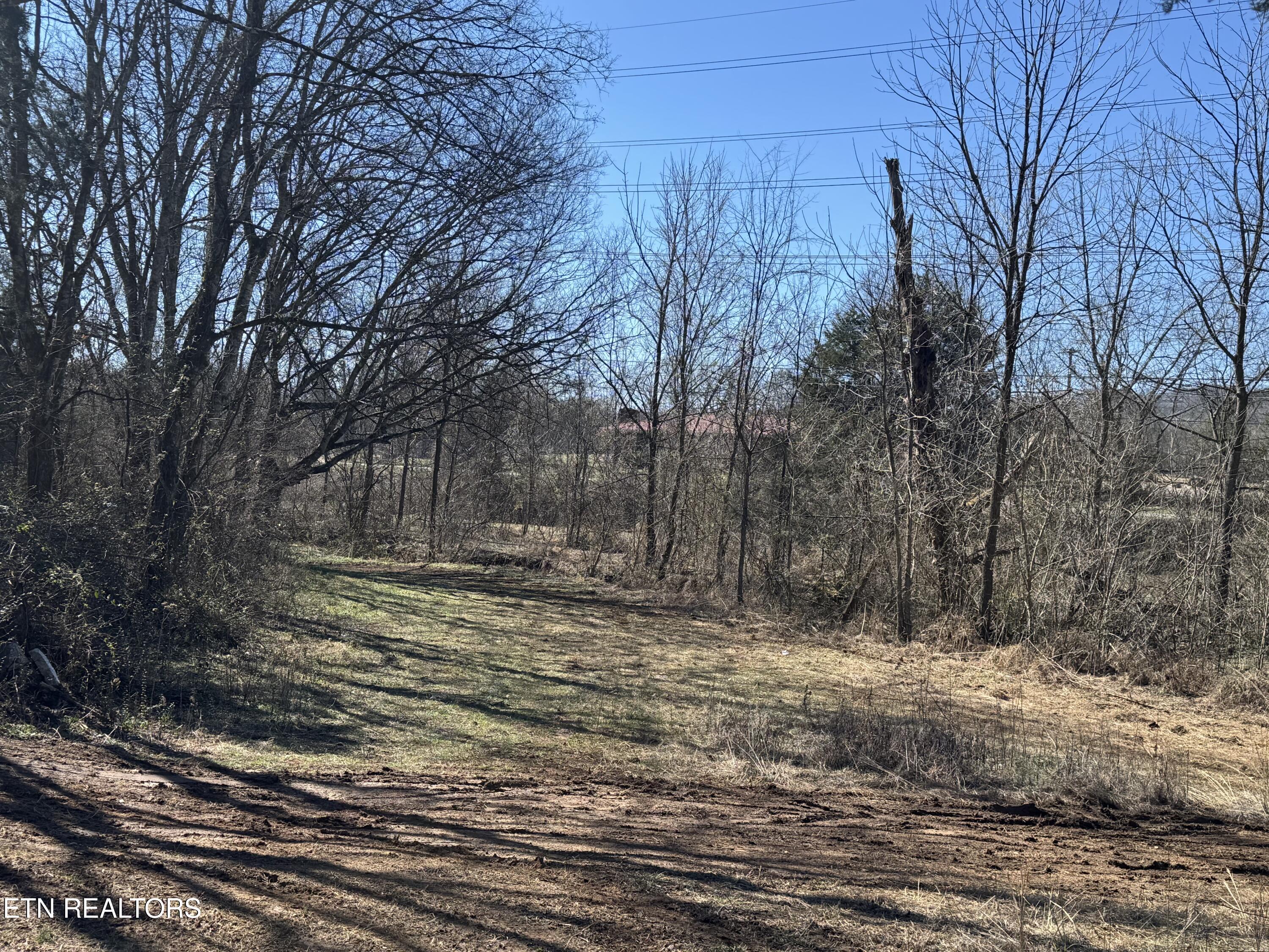 West Union Valley Road Seymour, TN 37865 - Photo 9 of 42 IMG_3966