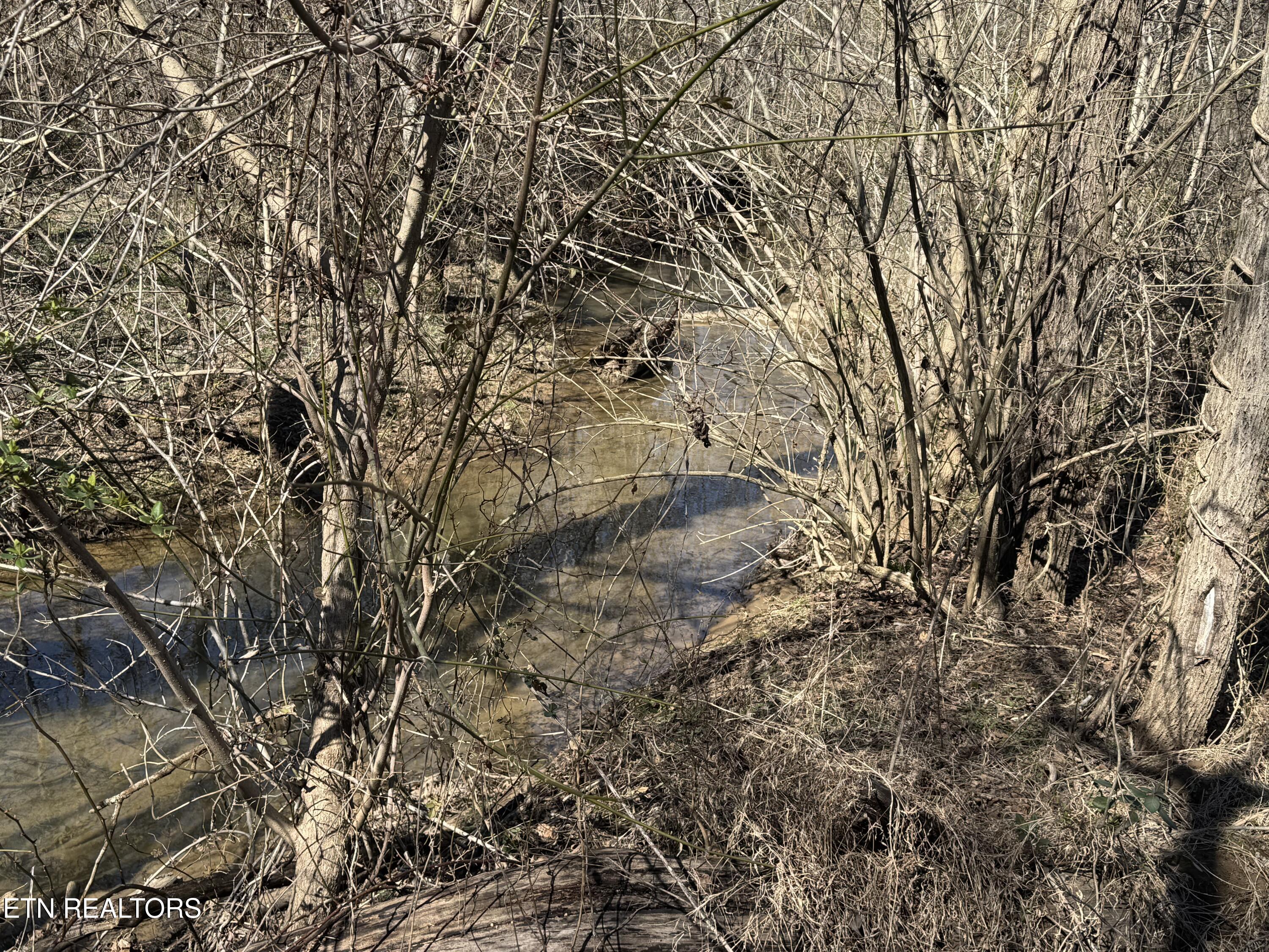 West Union Valley Road Seymour, TN 37865 - Photo 10 of 42 IMG_3967