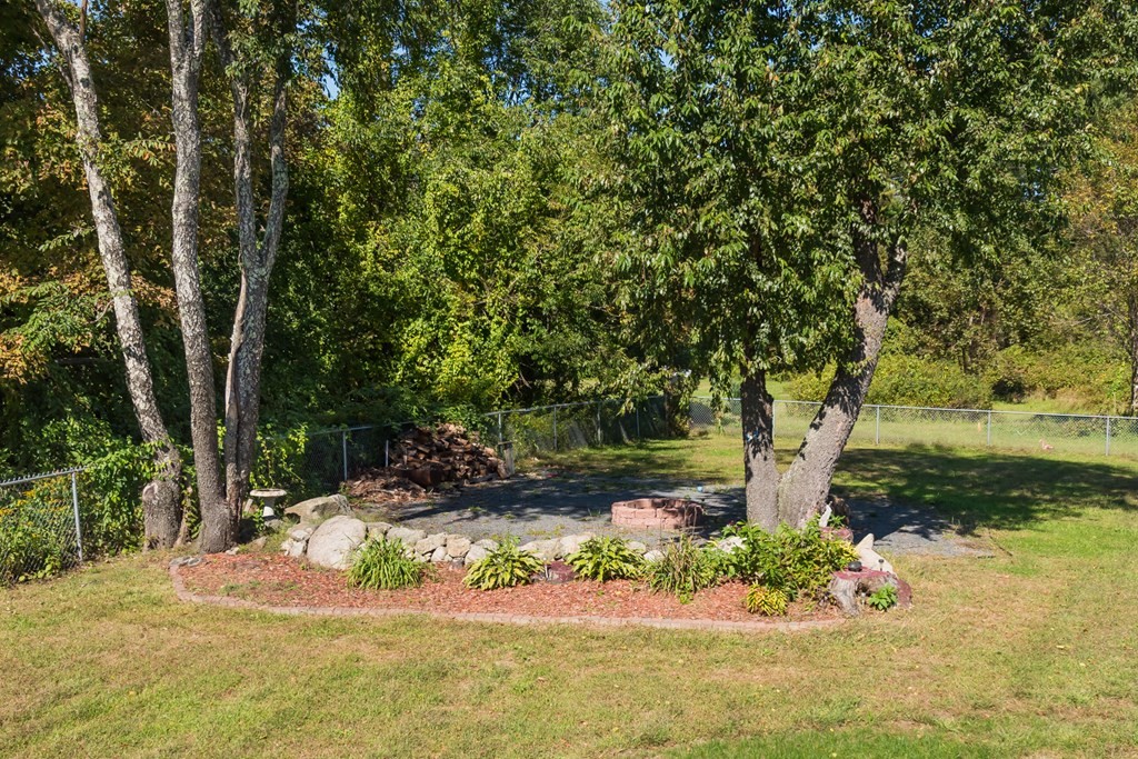 12 Gibbs Road Middleboro, MA 02346 - Photo 16 of 38 a view of a garden with a tree